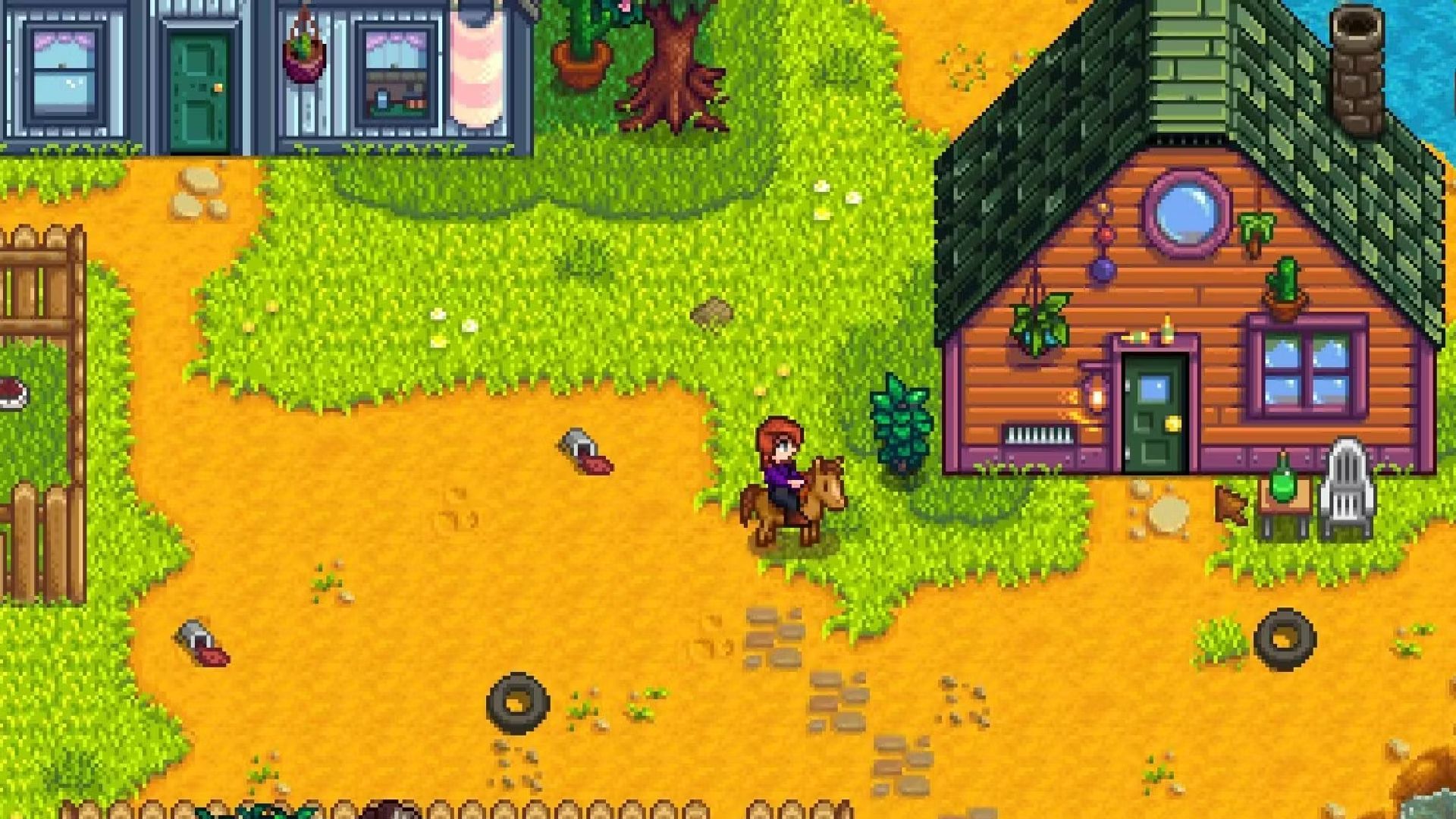 stardew valley pams upgraded house