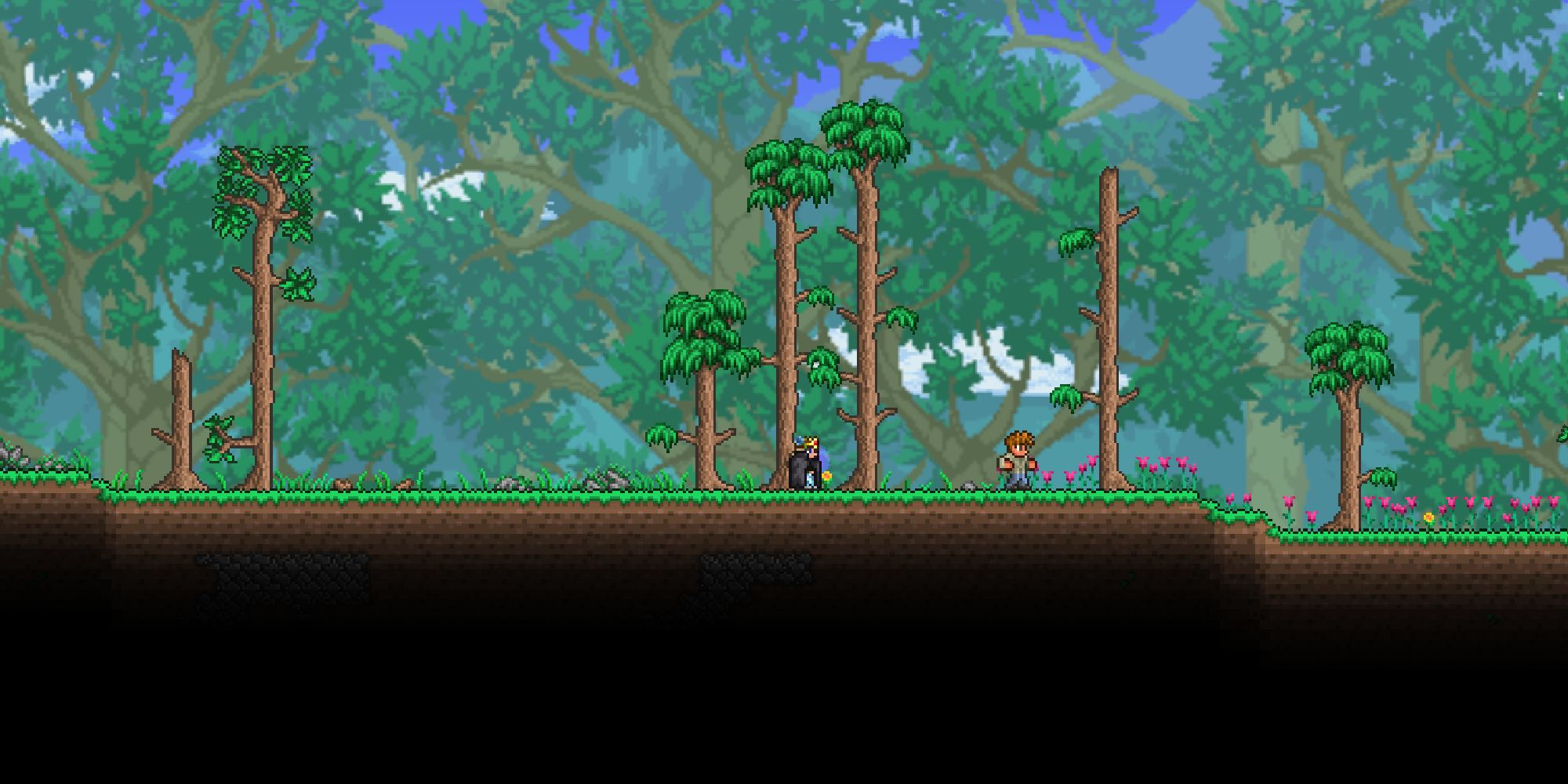 The Best World Seeds In Terraria