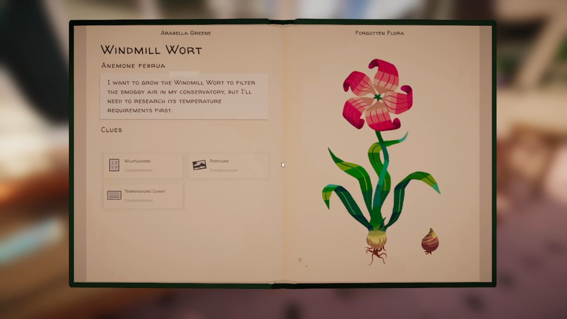 windmill wart page in the forgotten flora herbarium botany manor