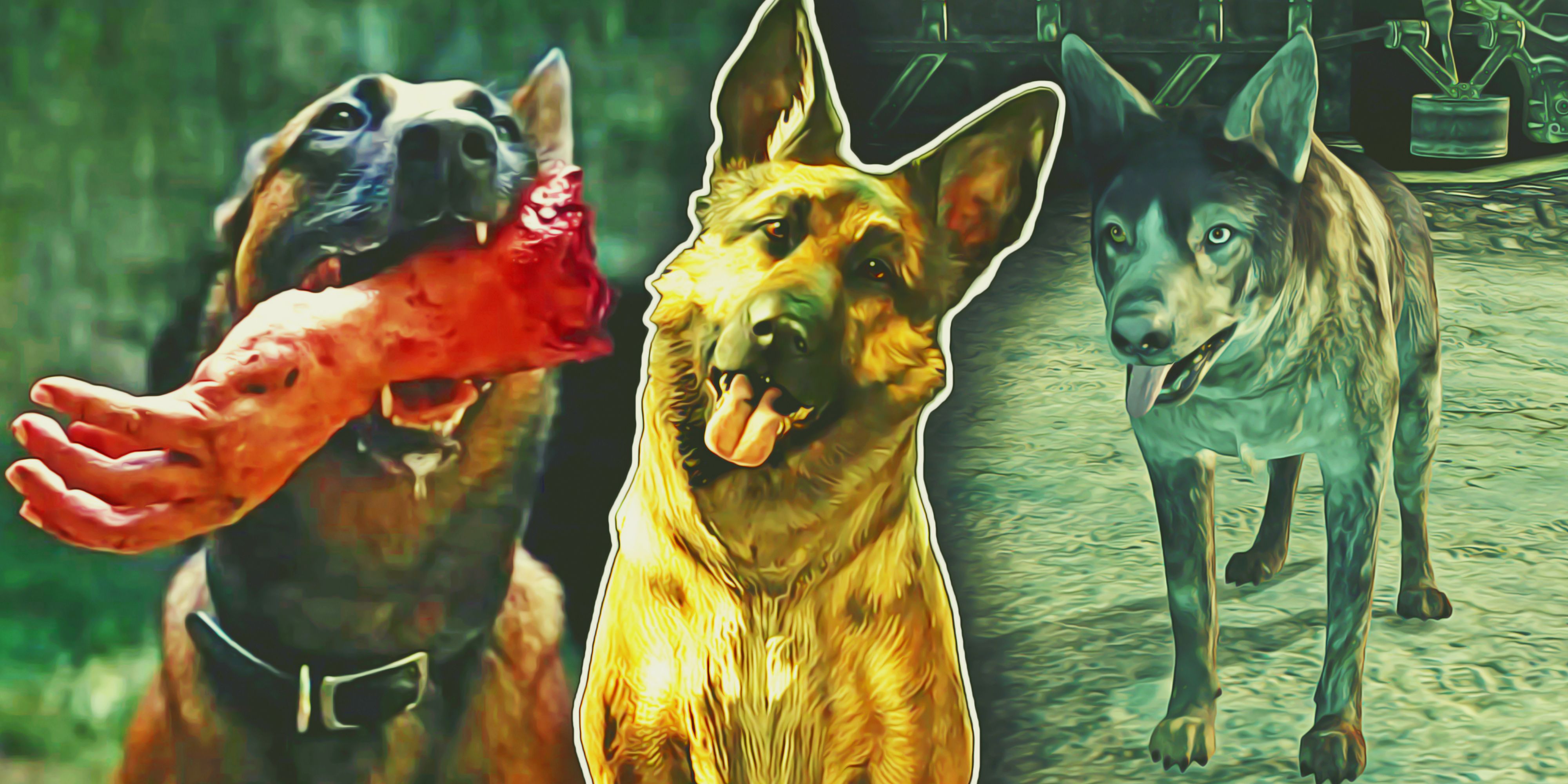 Fallout: Every Version Of Dogmeat, Ranked