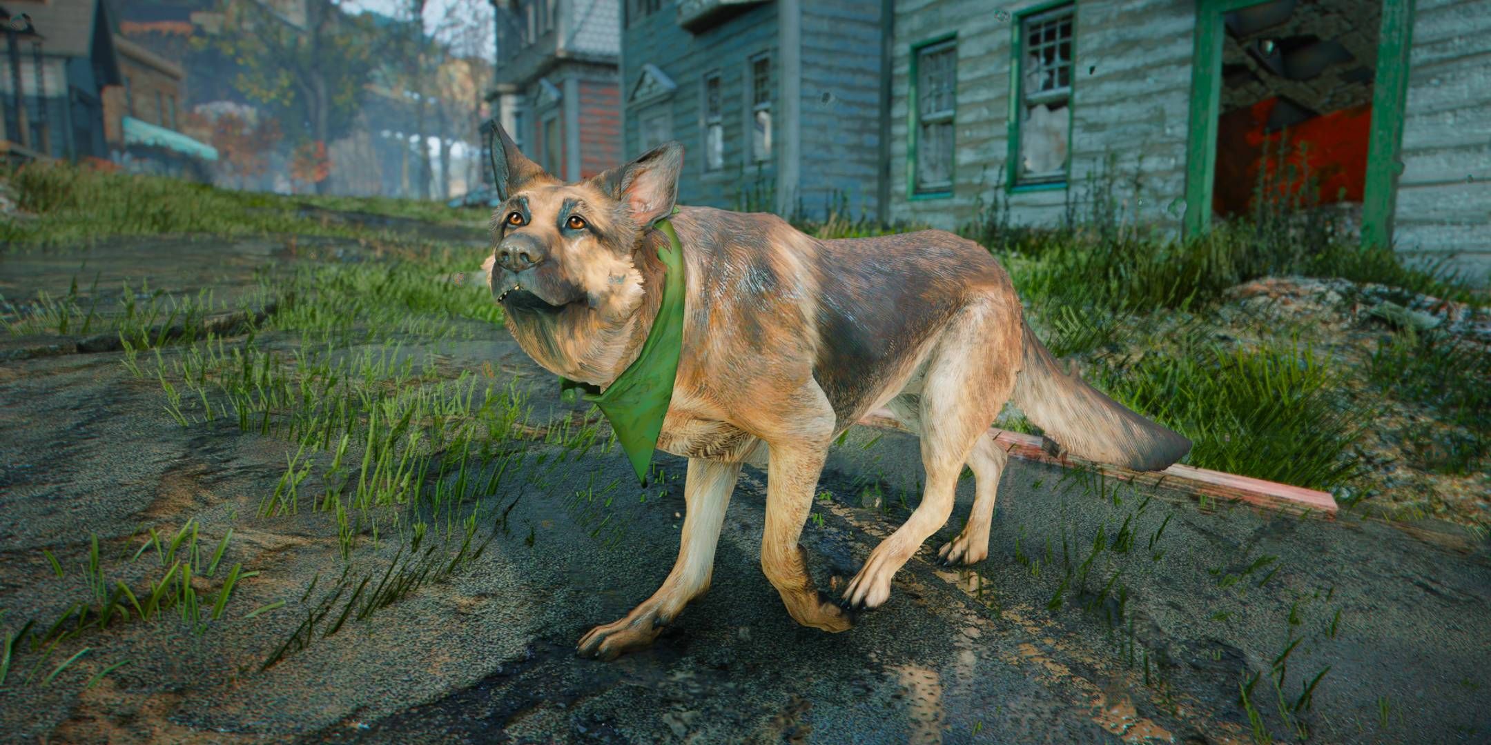 Best Equipment For Dogmeat In Fallout 4