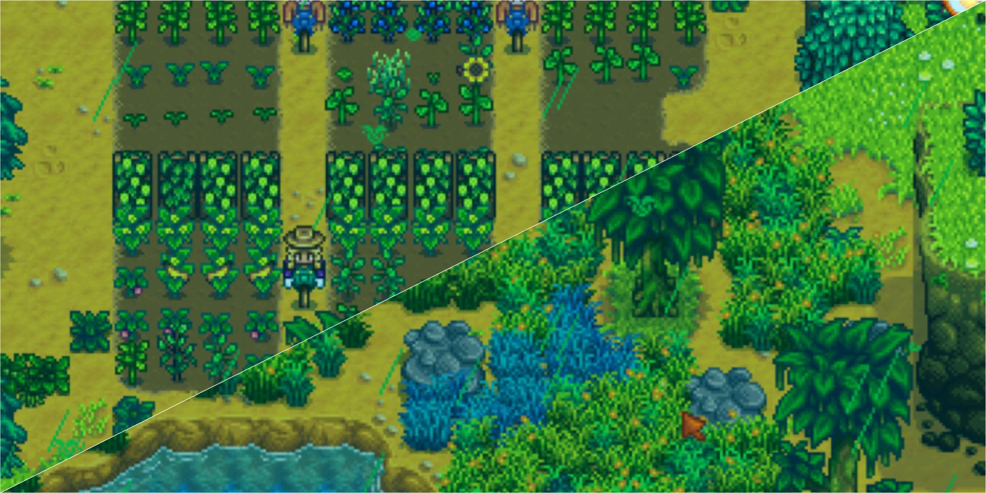 Collage showing the outside of the player's farm during the green rain event in Stardew Valley