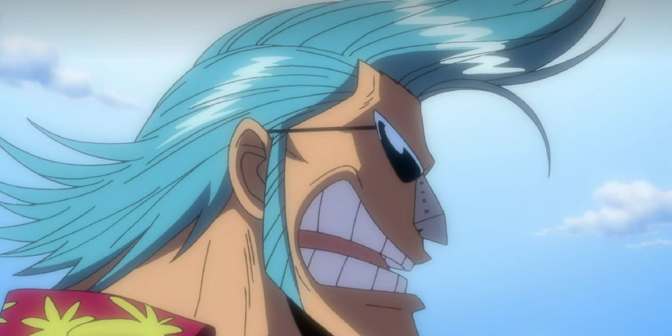 One piece image showing franky