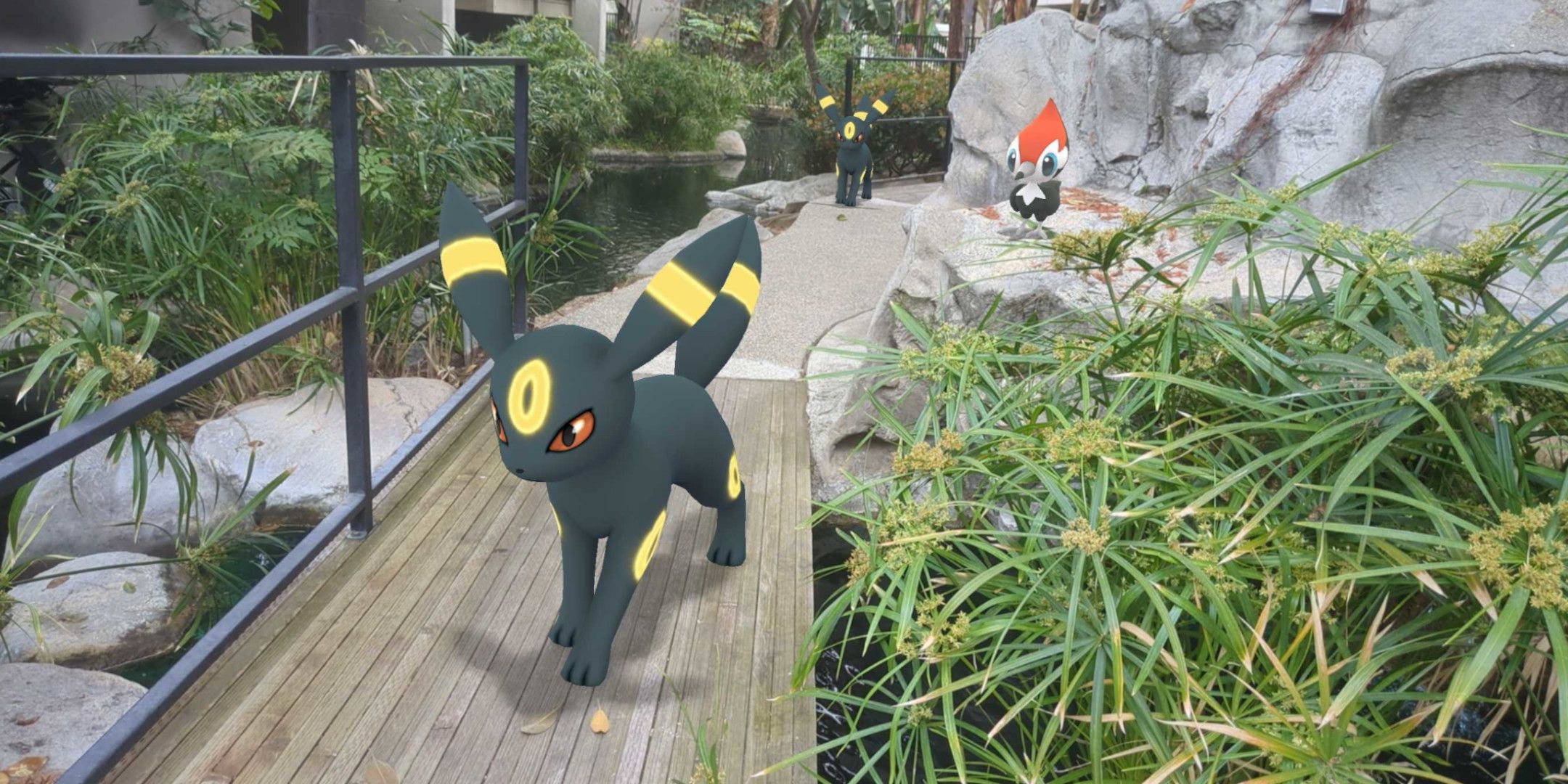 pokemon go umbreon pikapeck