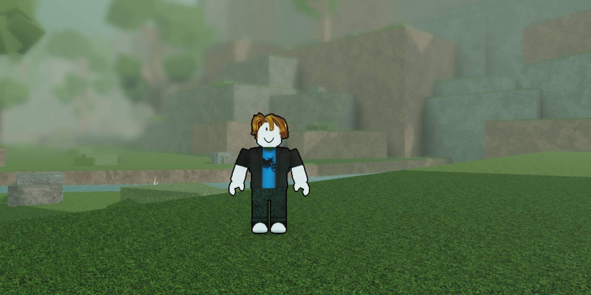 Rogue Ninja Codes - Roblox