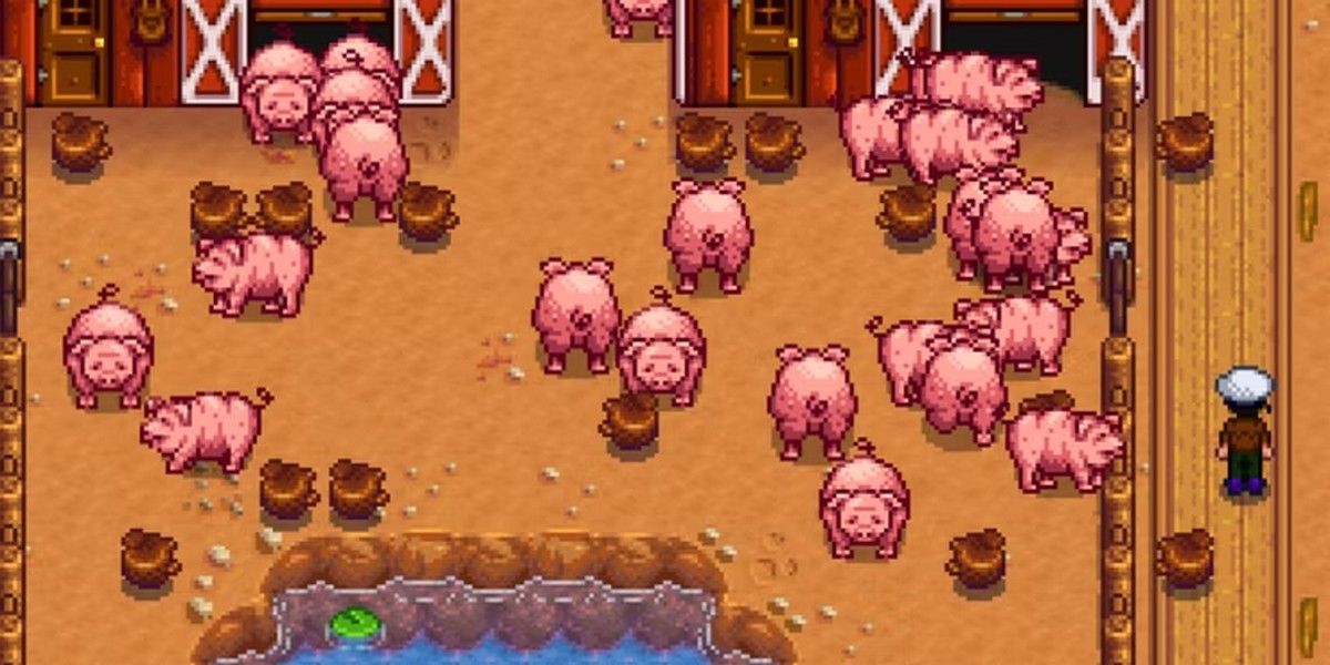 Самые прибыльные продукты животного происхождения в Stardew Valley