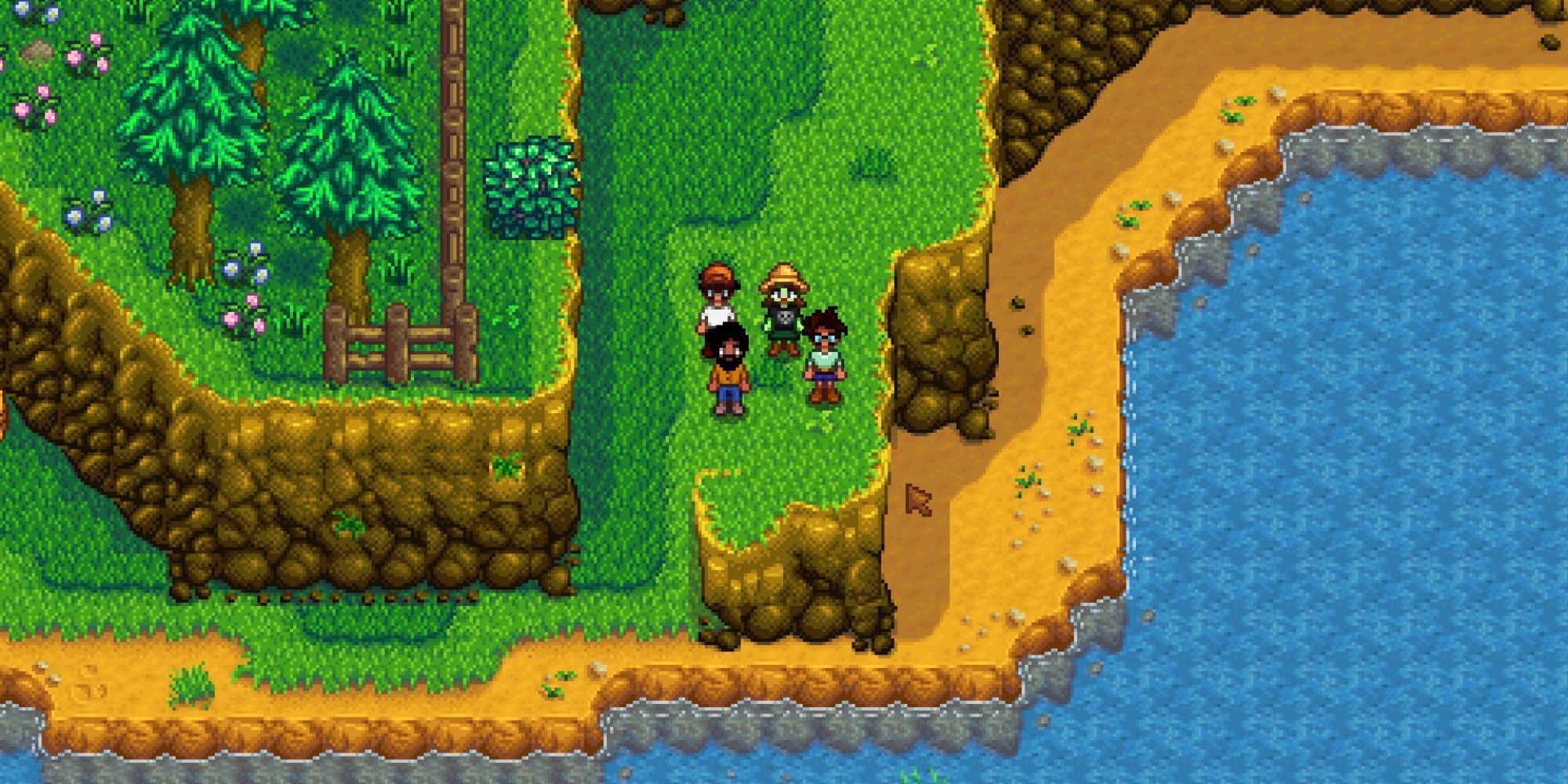 چهار بازیکن در کنار منظره ای در لبه نقشه در Stardew Valley ایستاده اند 
