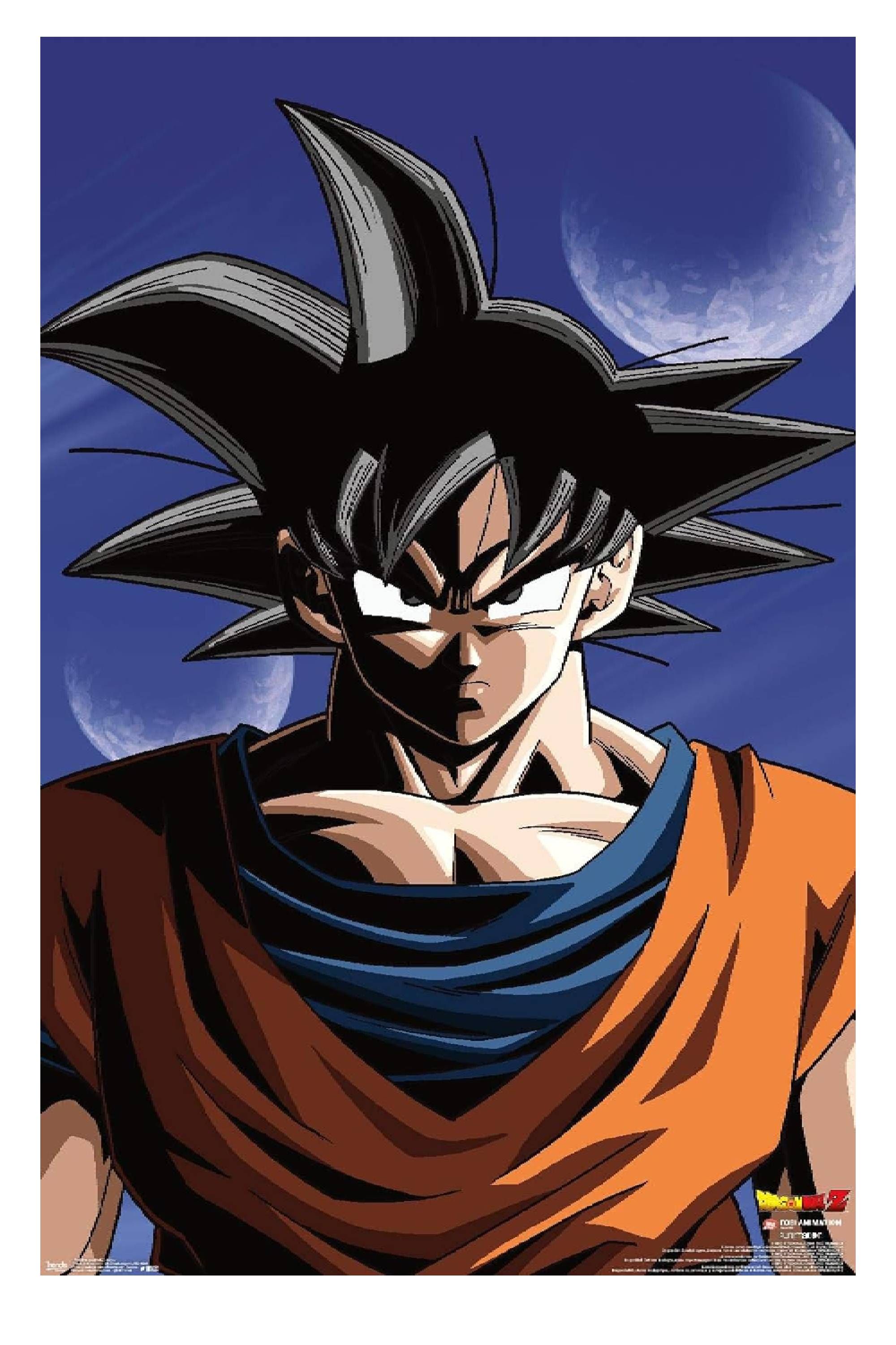 Dragon Ball Z Goku Wall Poster