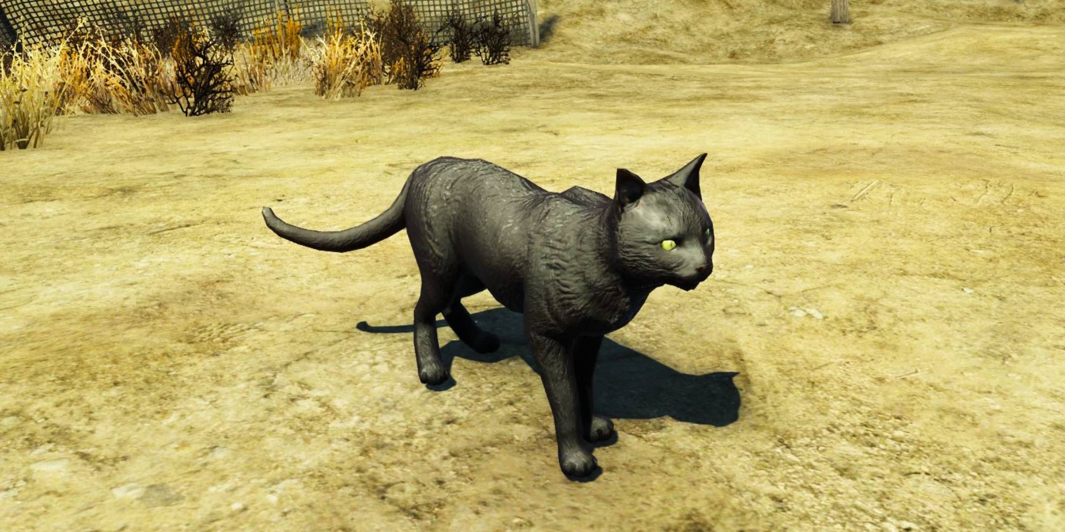 The Best Named Cats In Fallout 4