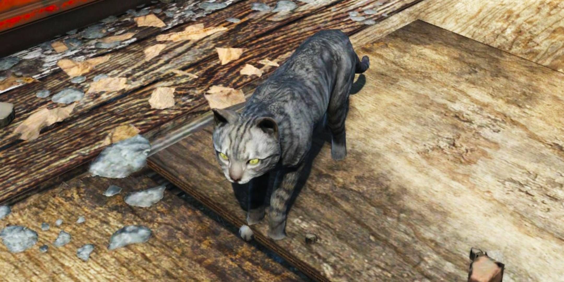 The Best Named Cats In Fallout 4