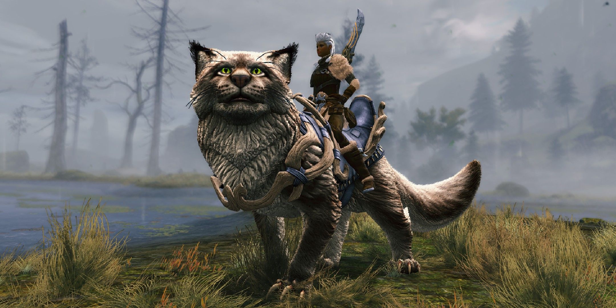 Every New Feature In Guild Wars 2's Janthir Wilds Expansion