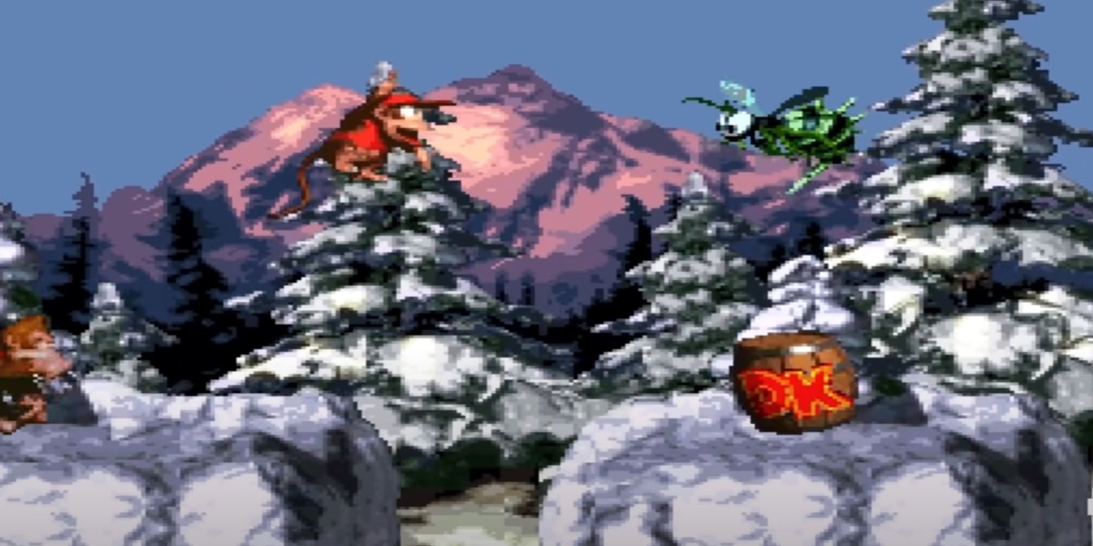 Donkey and DIddy Kong in Snow Barrel Blast