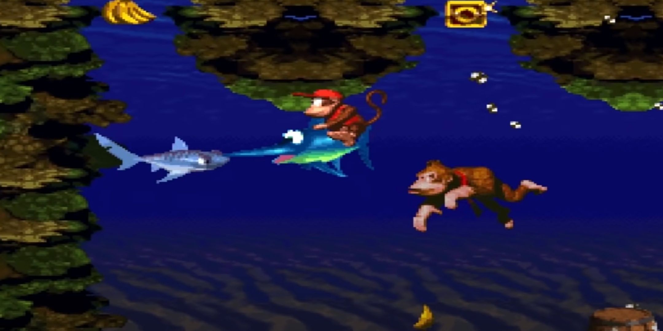 Donkey Kong Coral Capers Underwater Level