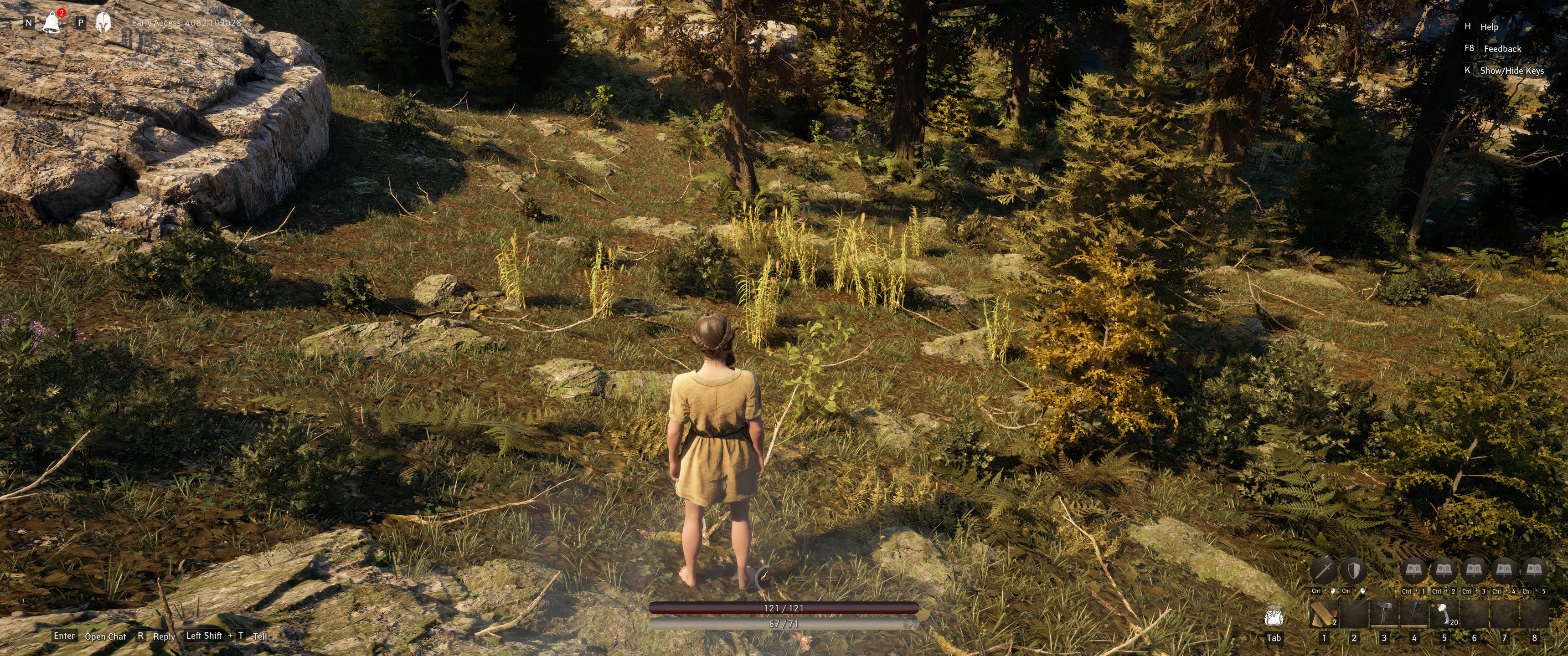 Pax Dei: The player looks at a cluster of reeds on the edge of the forest