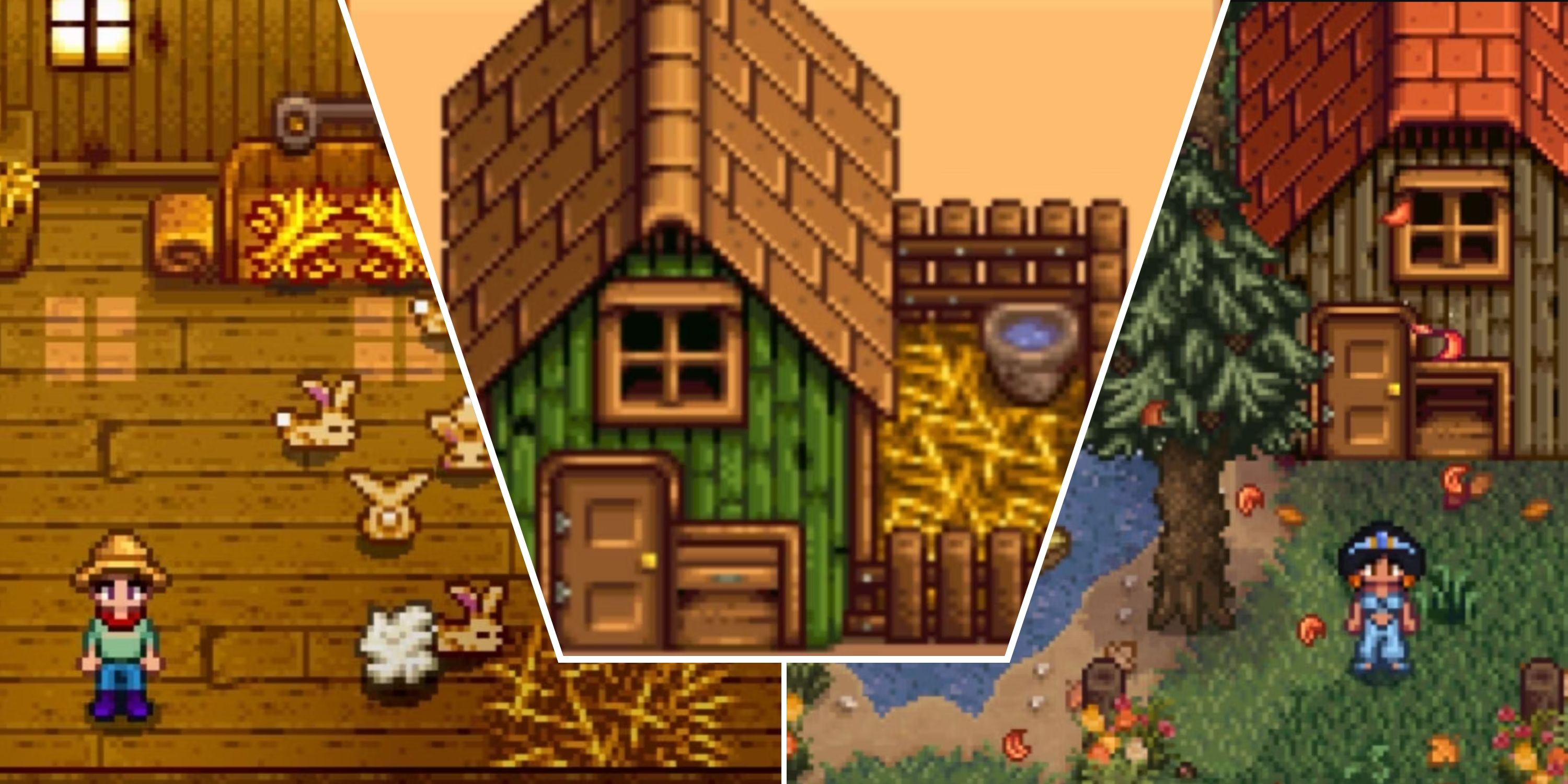 How To Build And Upgrade Coops In Stardew Valley