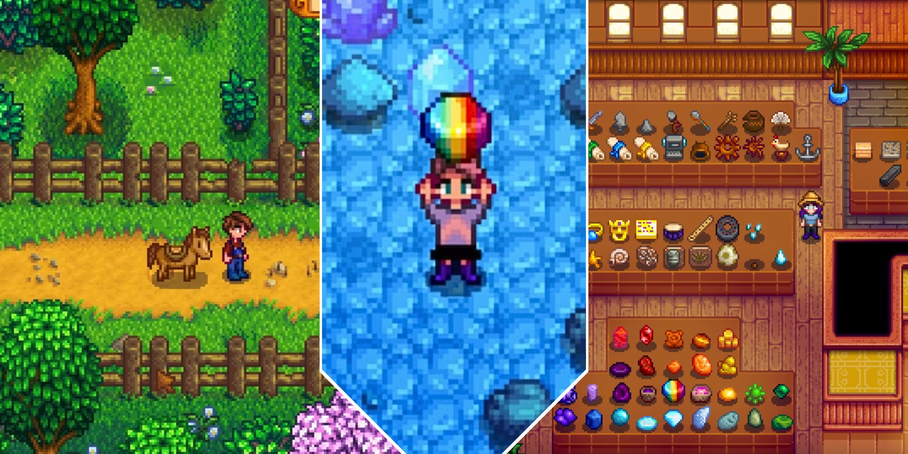 Everything You Can Donate To The Museum In Stardew Valley