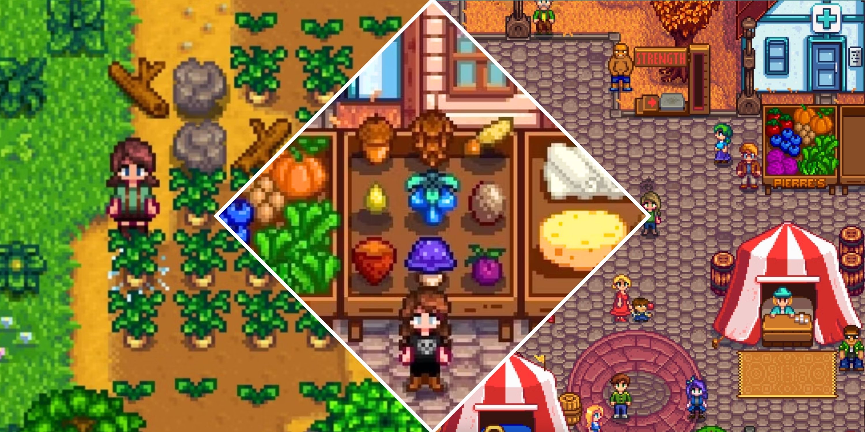 How To Win The Stardew Valley Fair Grange Display Contest - TheGamer