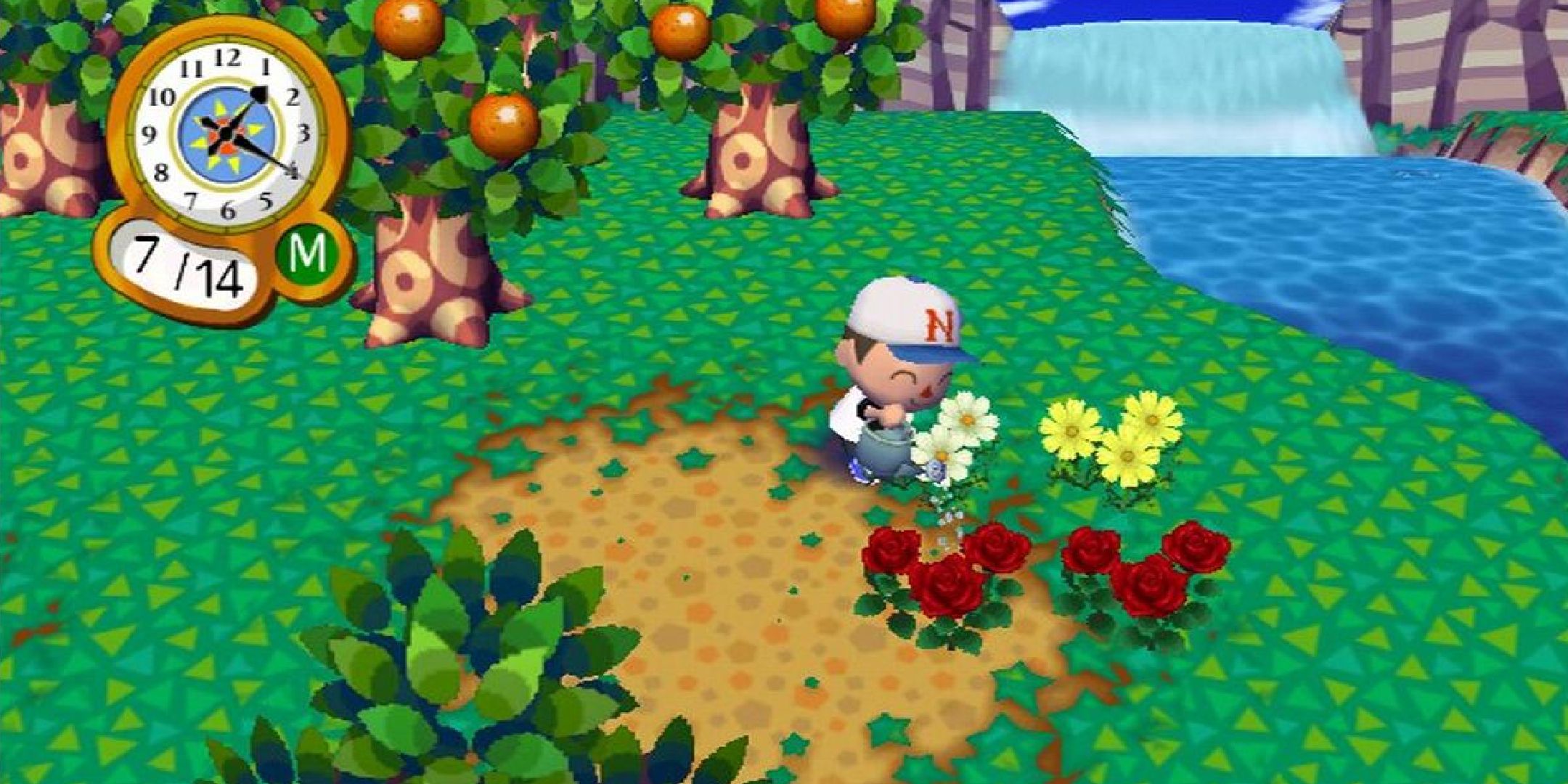 Animal Crossing City Folk player watering flowers