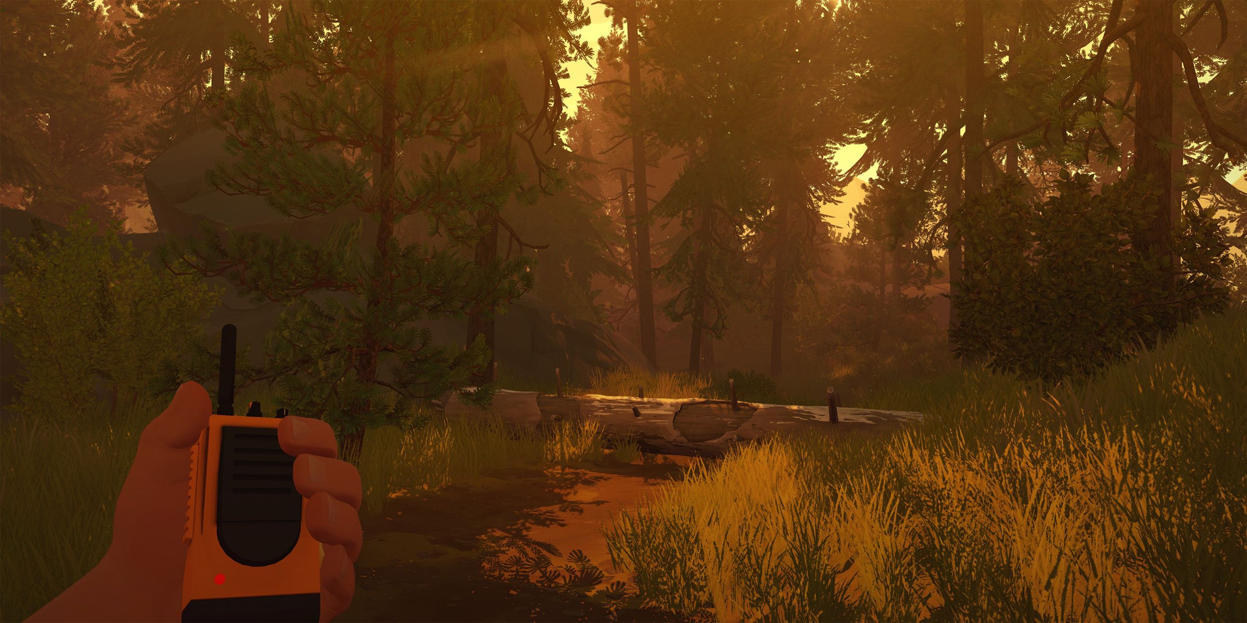 Image of Henry holding a walkie talkie in a forest from Firewatch.