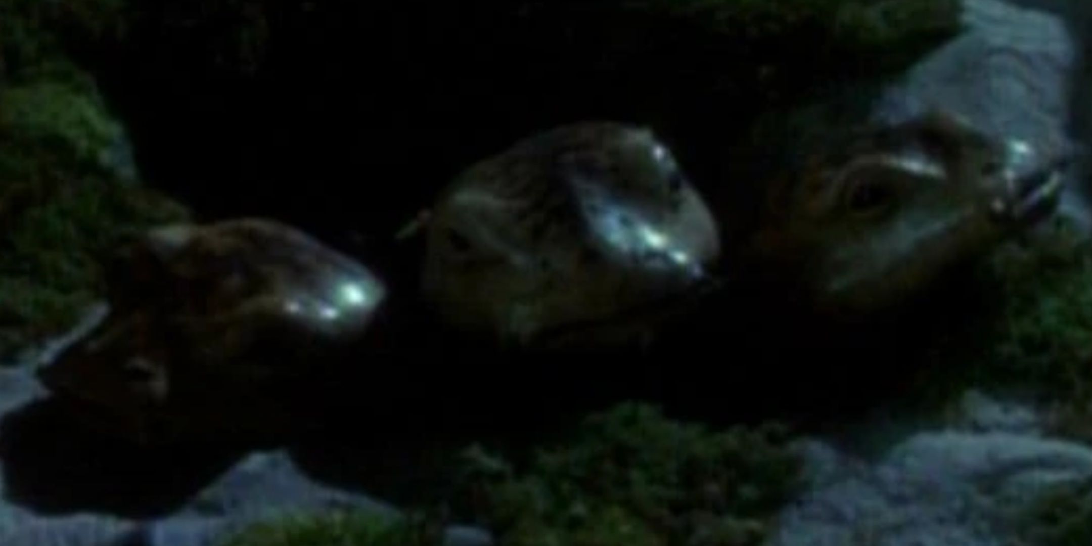 The salamander offpsring of a hyper evolved Tom Paris and Captain Janeway from Star Trek Voyager.