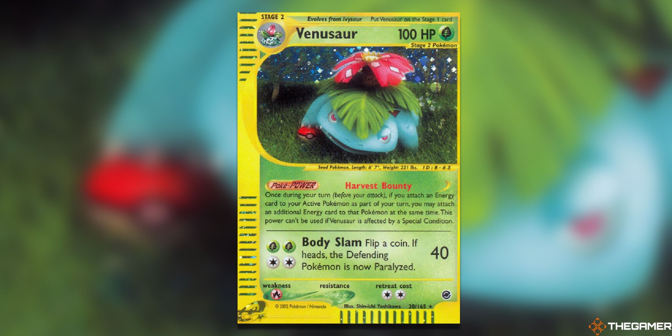 The Holo Rare Expedition Venusaur from the Pokemon trading card game.