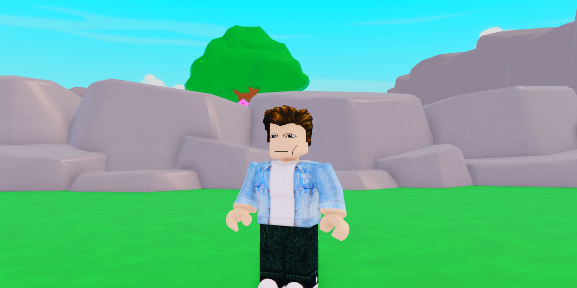 Roblox Boys Vs Girls