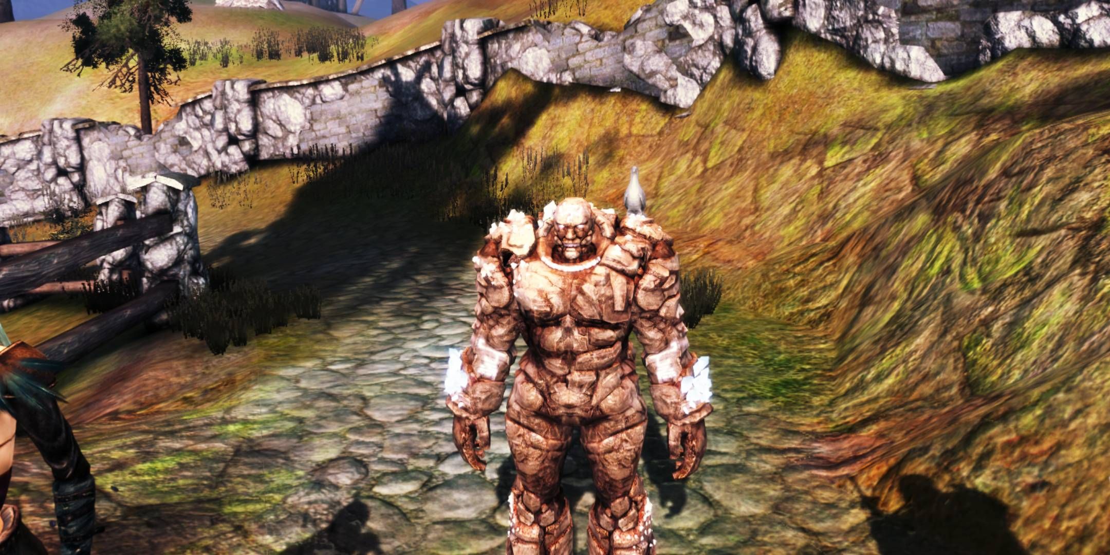 Shale the golem wearing the Uncrushable Pigeon gift on her shoulder in Dragon Age: Origins