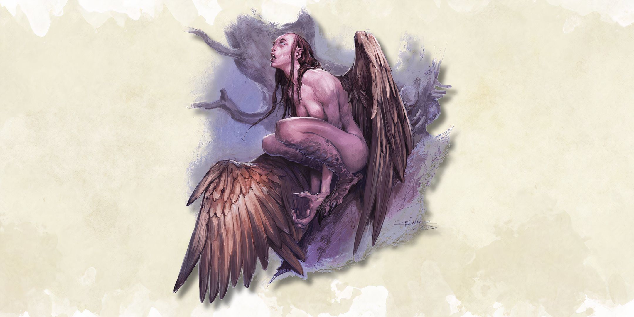 A harpy from D&D 5e.