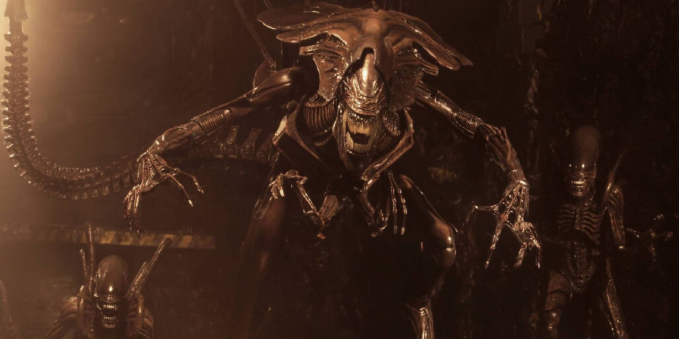 How Many Alien Movies Are There 60 Photos - Moonagedaydream.film