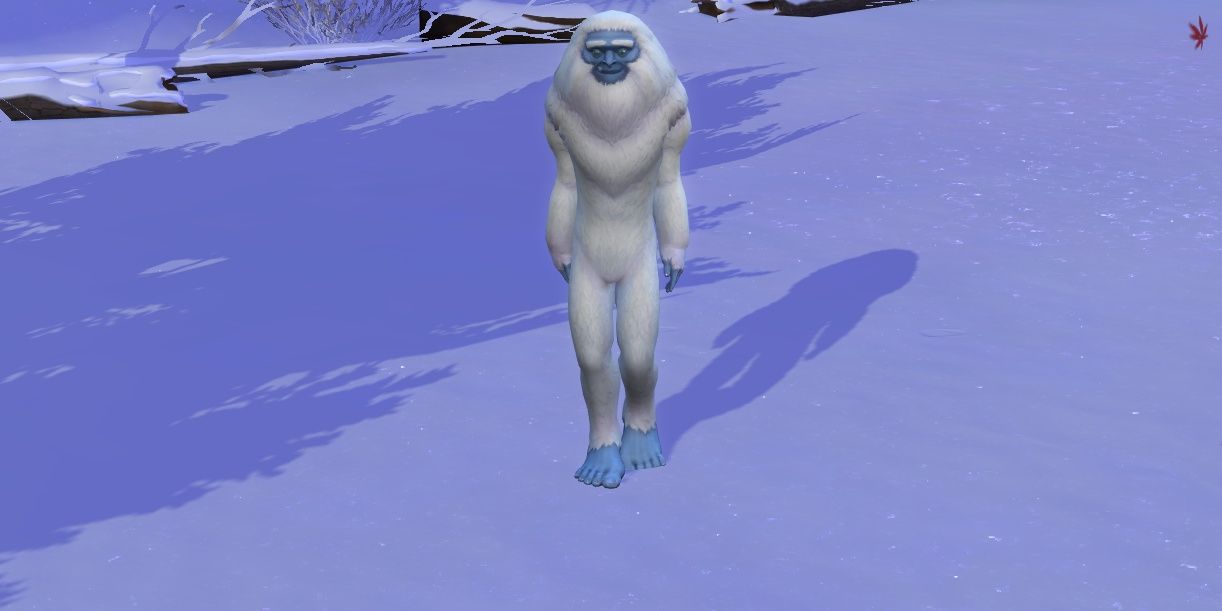 Sim in Yeti costume