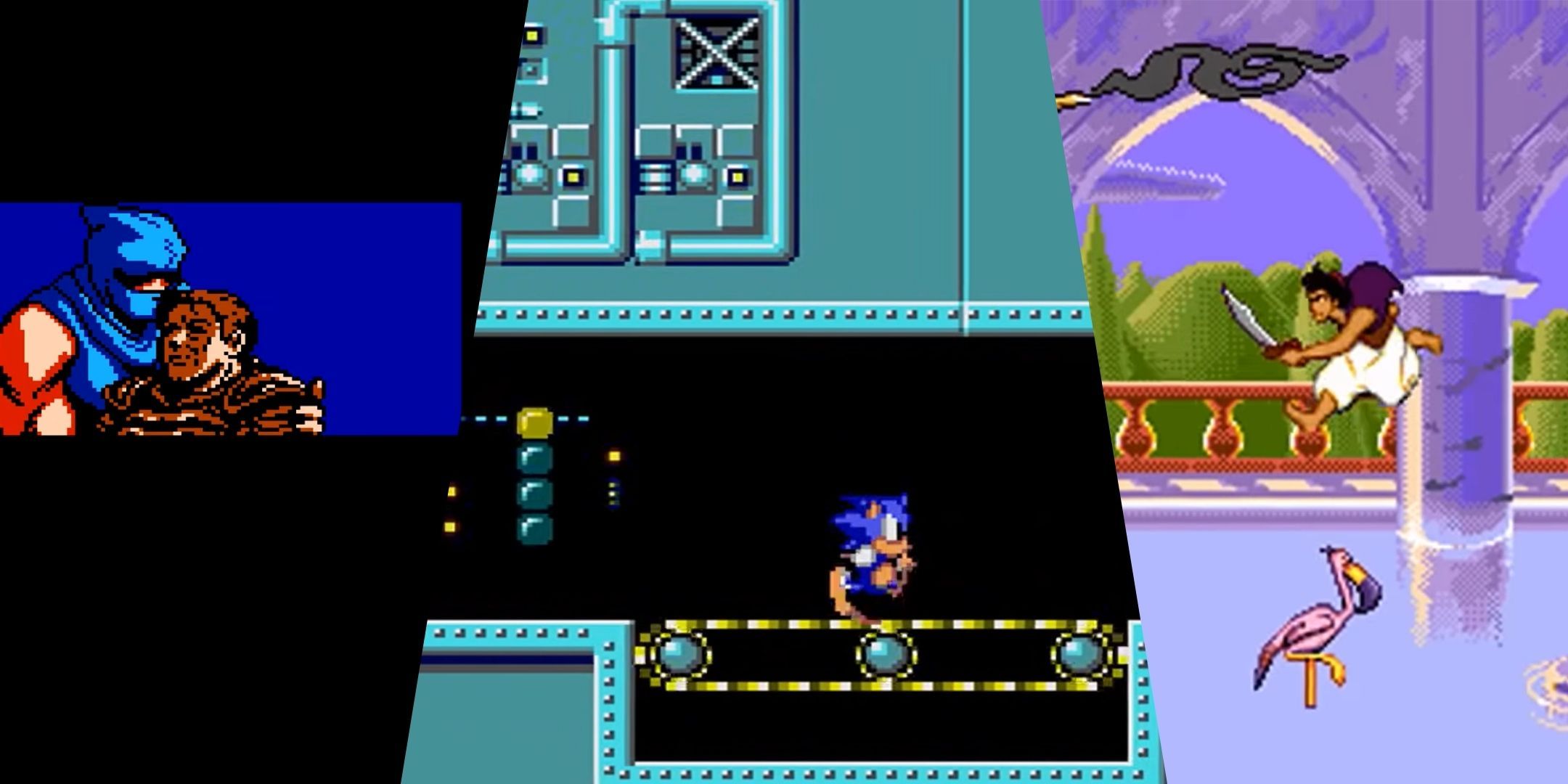 Images from Ninja Gaiden, Sonic The Hedgehog, and Disney's Aladinn.