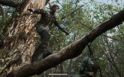 A Bird in the Mountains Side Quest: Ultimate Guide & Hidden Secrets