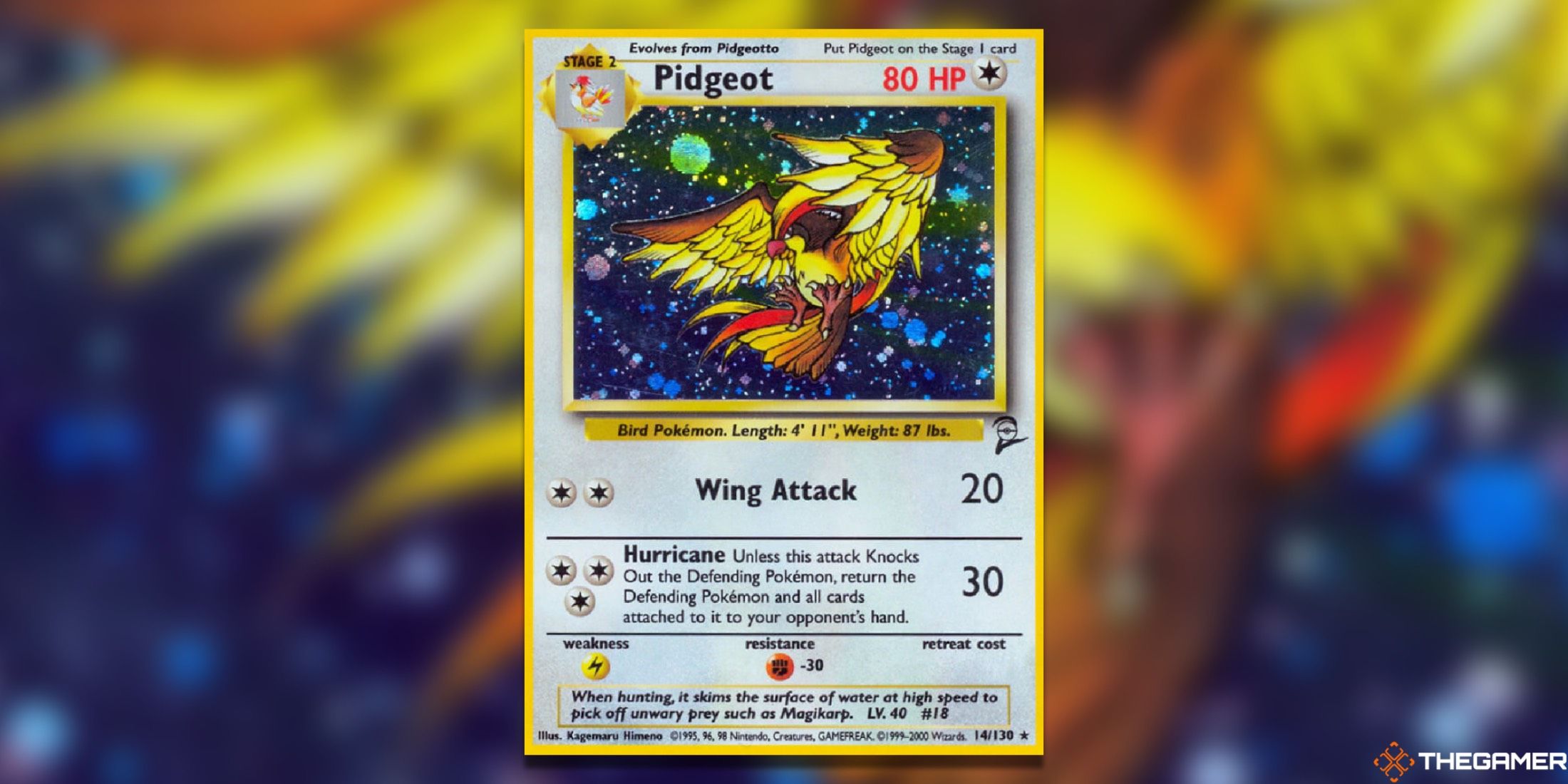 The Pidgeot from Base Set 2 in the Pokémon Trading Card Game.