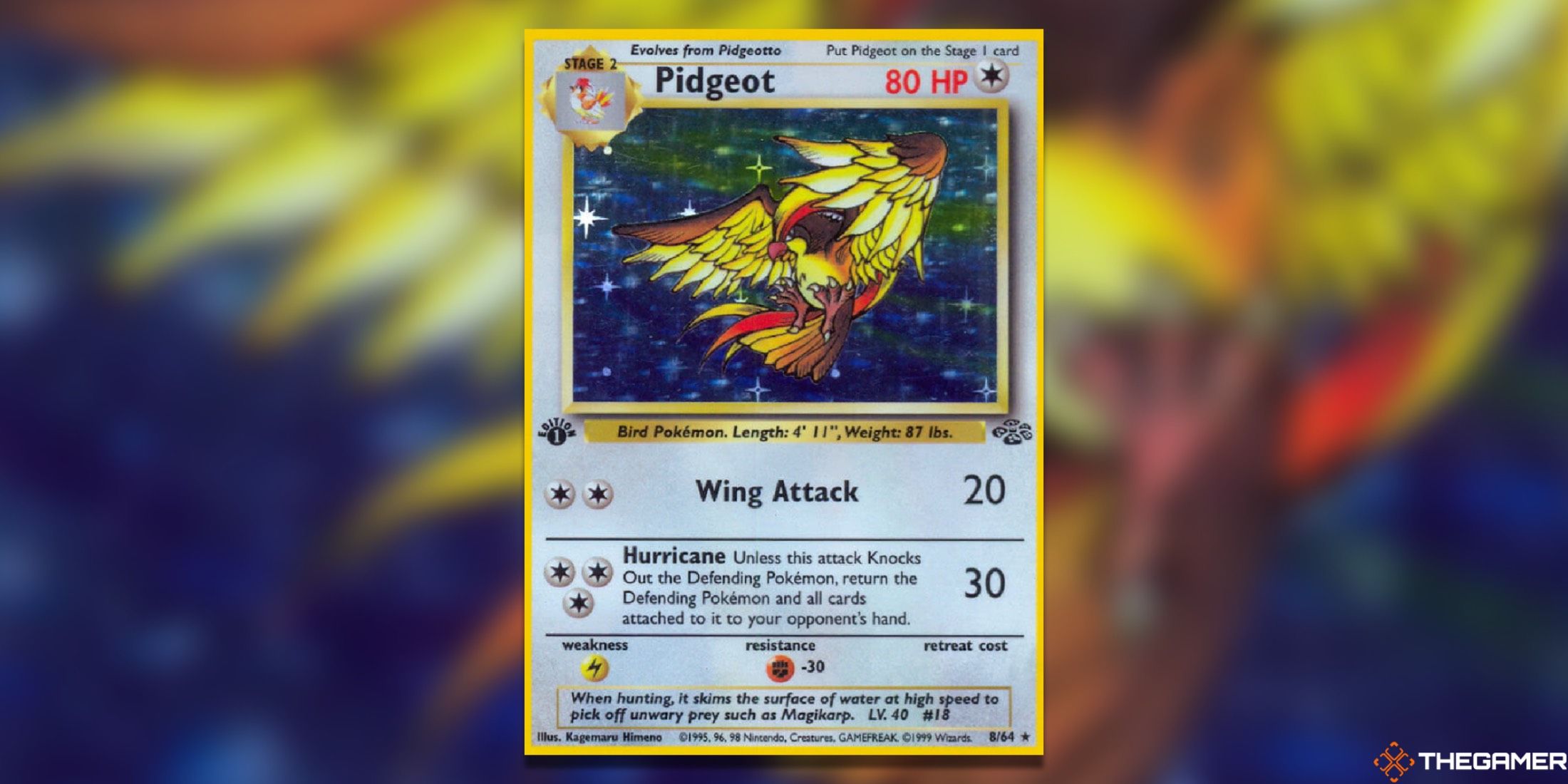 The first edition of Pidgeot from the jungle of the Pokémon Trading Card Game.