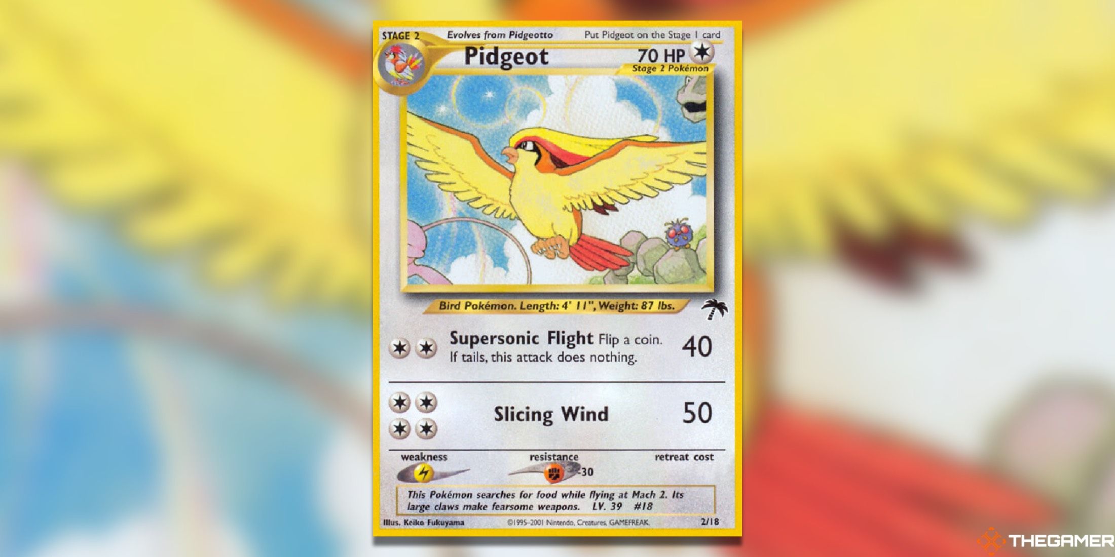 The Pidgeot from the Southern Islands in the Pokémon Trading Card Game.