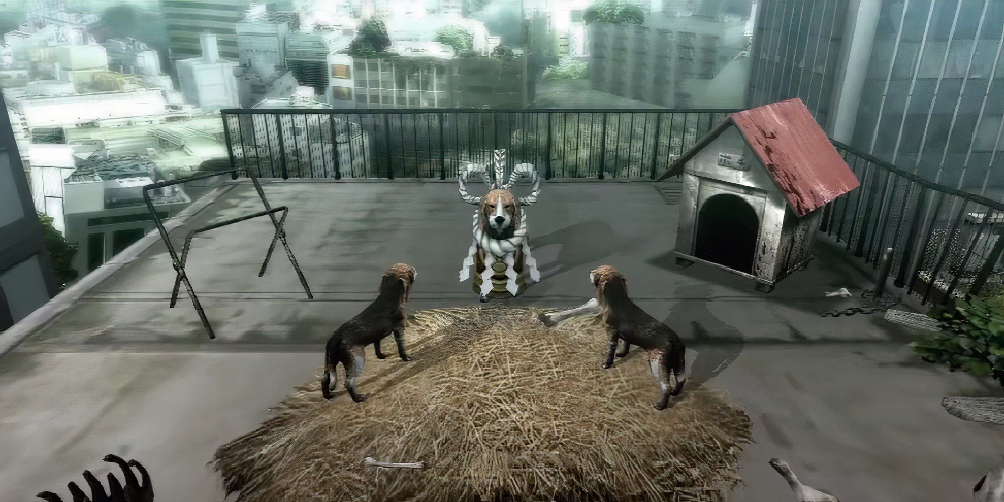 Tokyo Jungle image showing a meeting between three dogs.