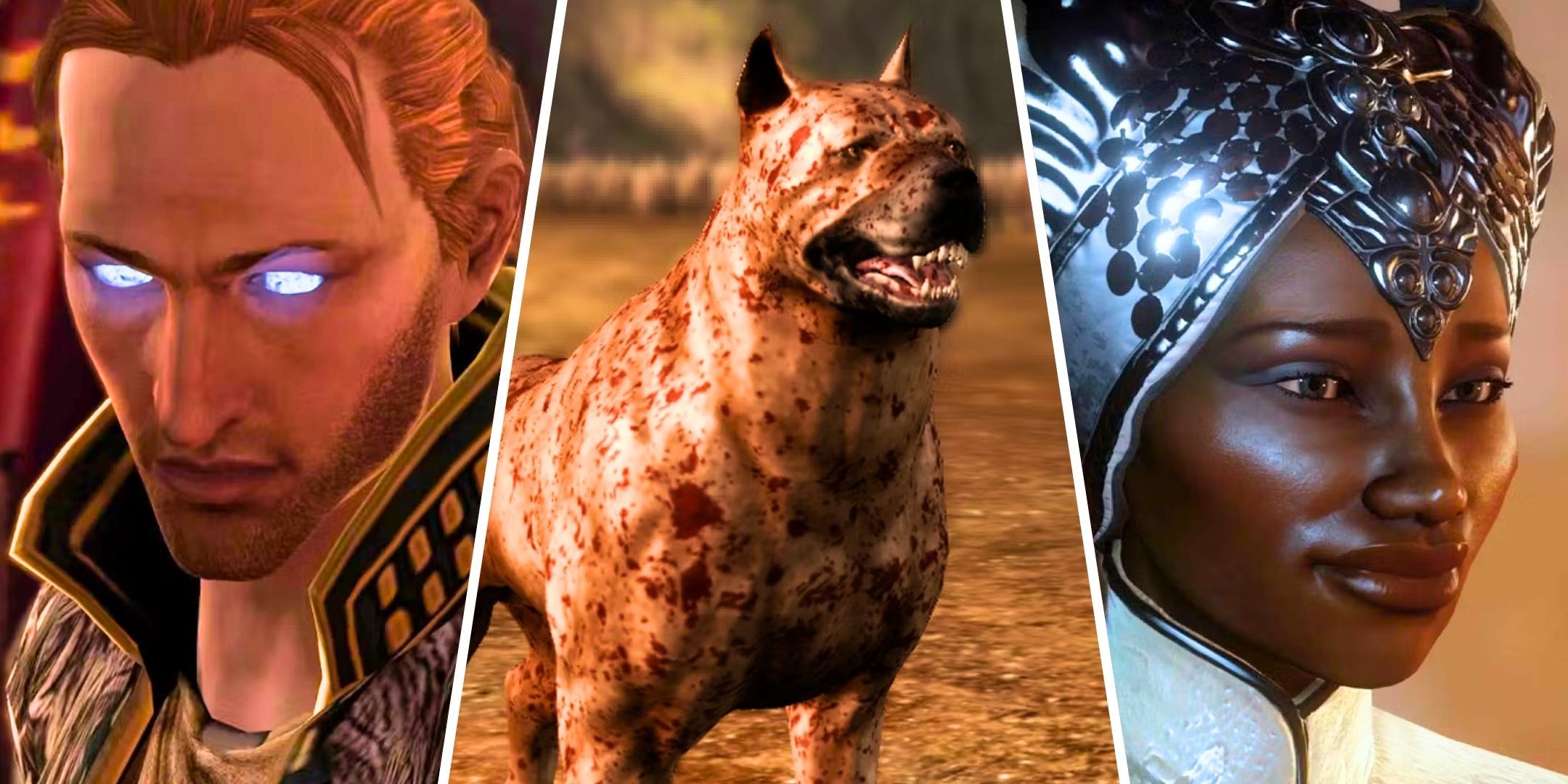 A split image of Anders possessed by Vengeance in Dragon Age 2, the Dog from Dragon Age: Origins, and Vivienne from Dragon Age: Inquisition.