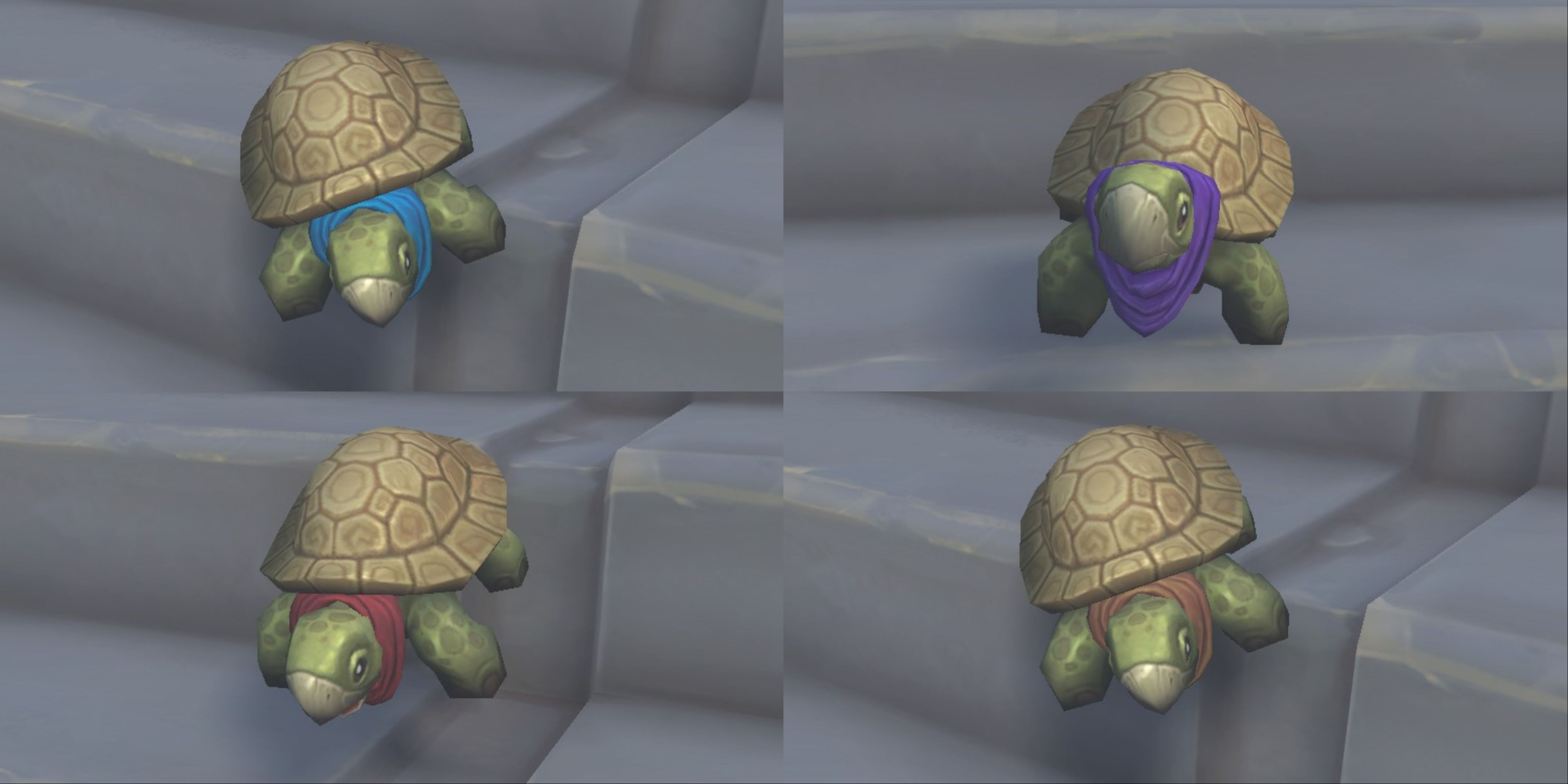 The four different Dalaran Sewer Turtle pet in the color variants it can come in; blue, purple, red, and orange.