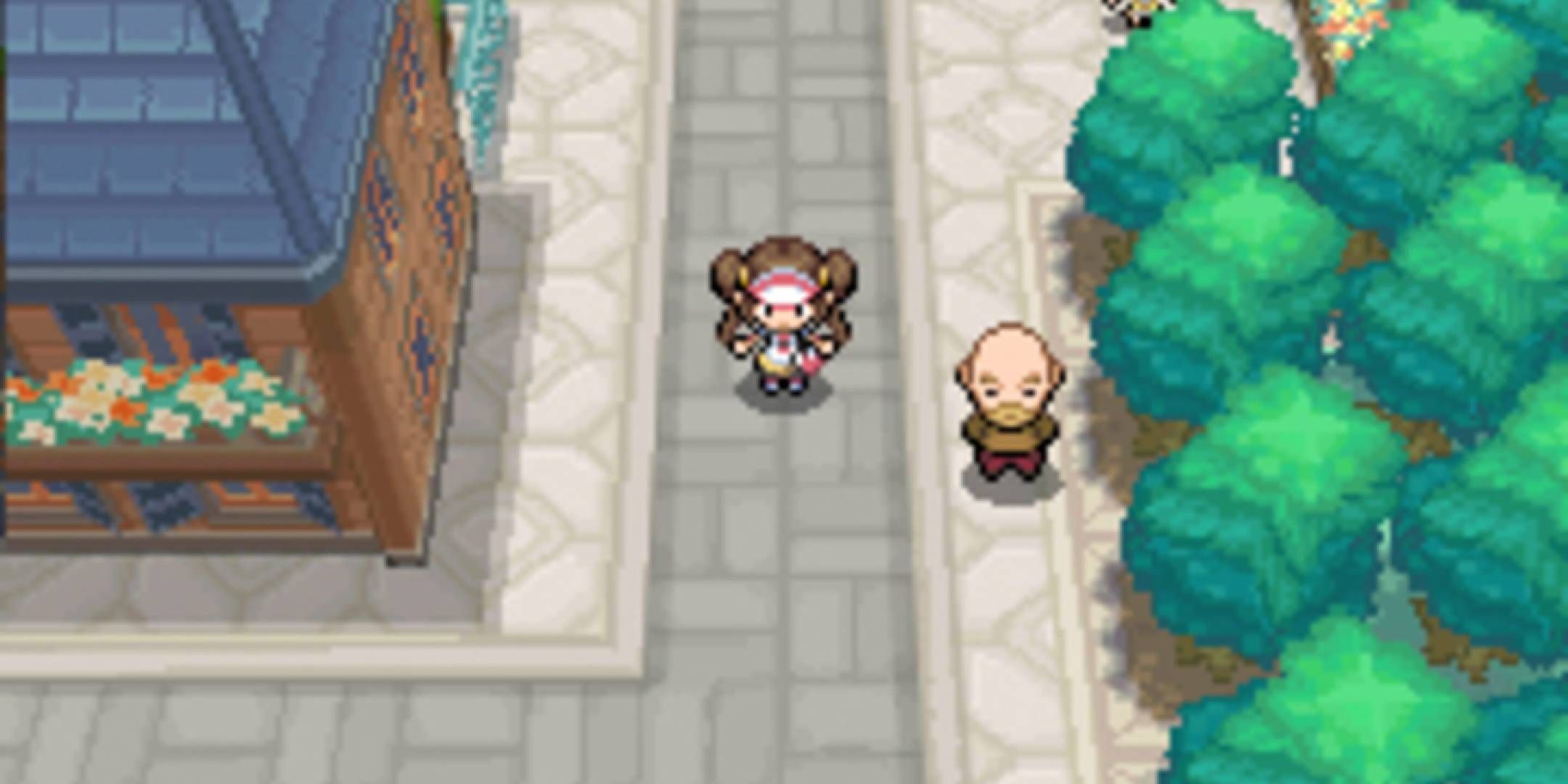 Hilda ran past the city in Pokémon Black.