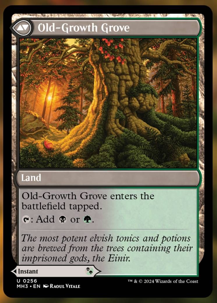 Image of Old Growth Grove card.