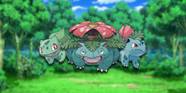 How Many Pokemon Evolution Lines Are There 