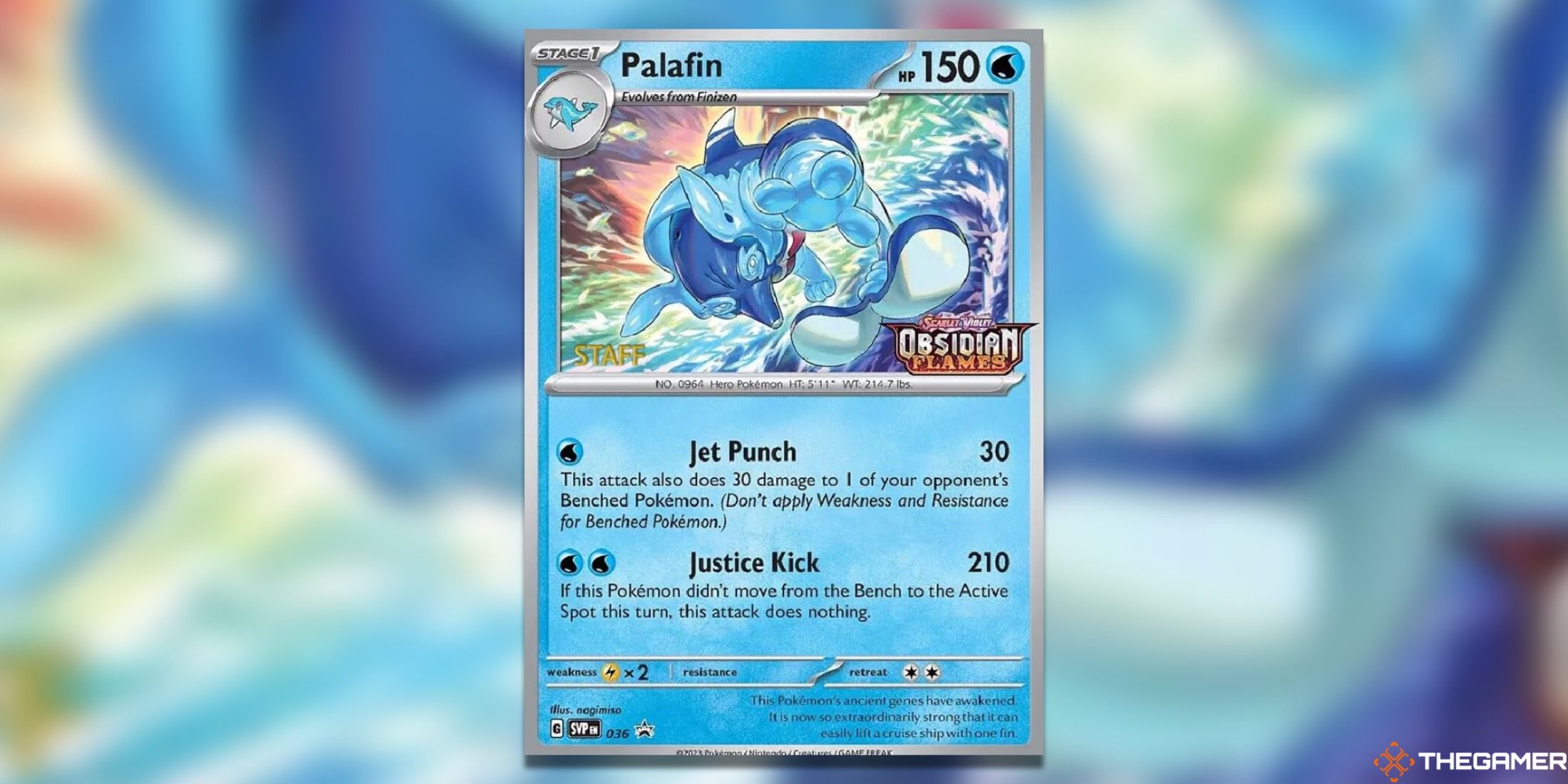 The Palafin Staff Prerelease from Obsidian Flames in the Pokemon TCG.