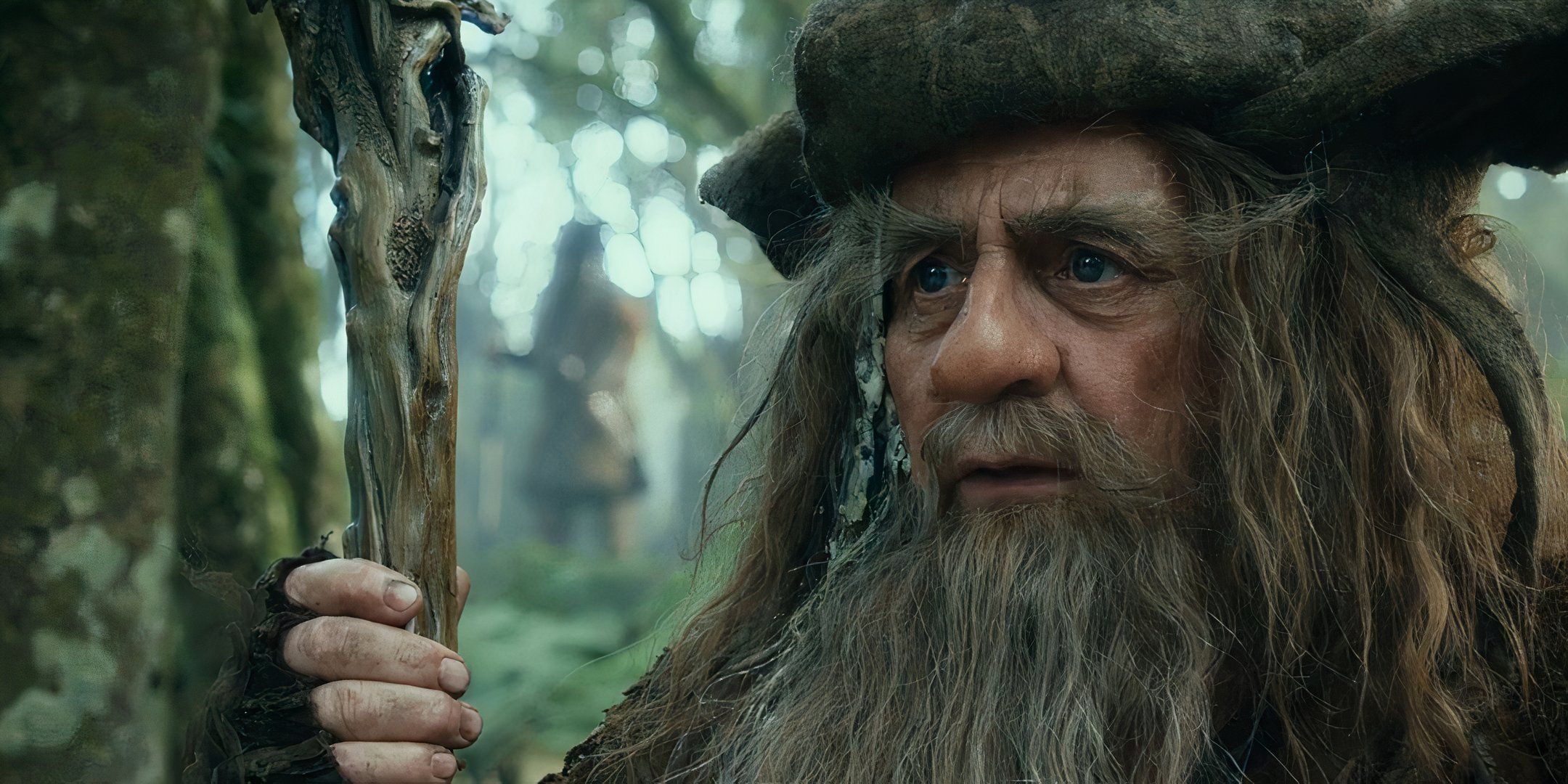 Radagast the brown, one of the Istar from the Lord of the Rings franchise.