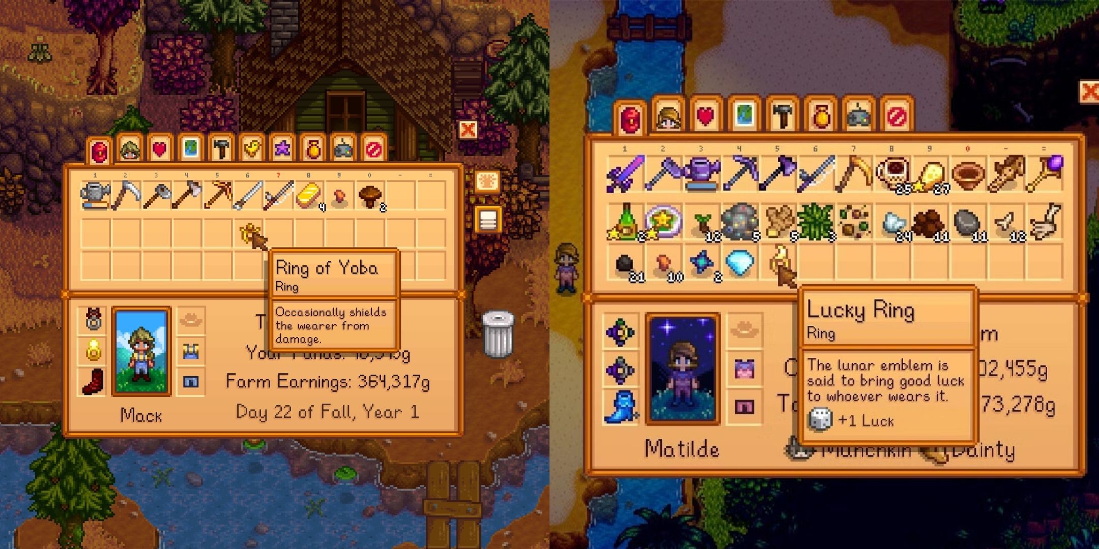 Image of the Ring Of Yoba And Lucky Ring from Stardew Valley.