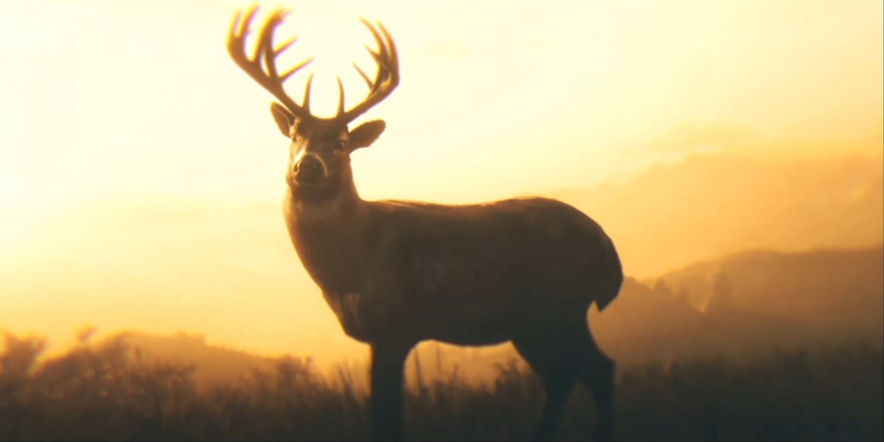 A buck against the golden backdrop of a sunrise in Red Dead Redemption 2.