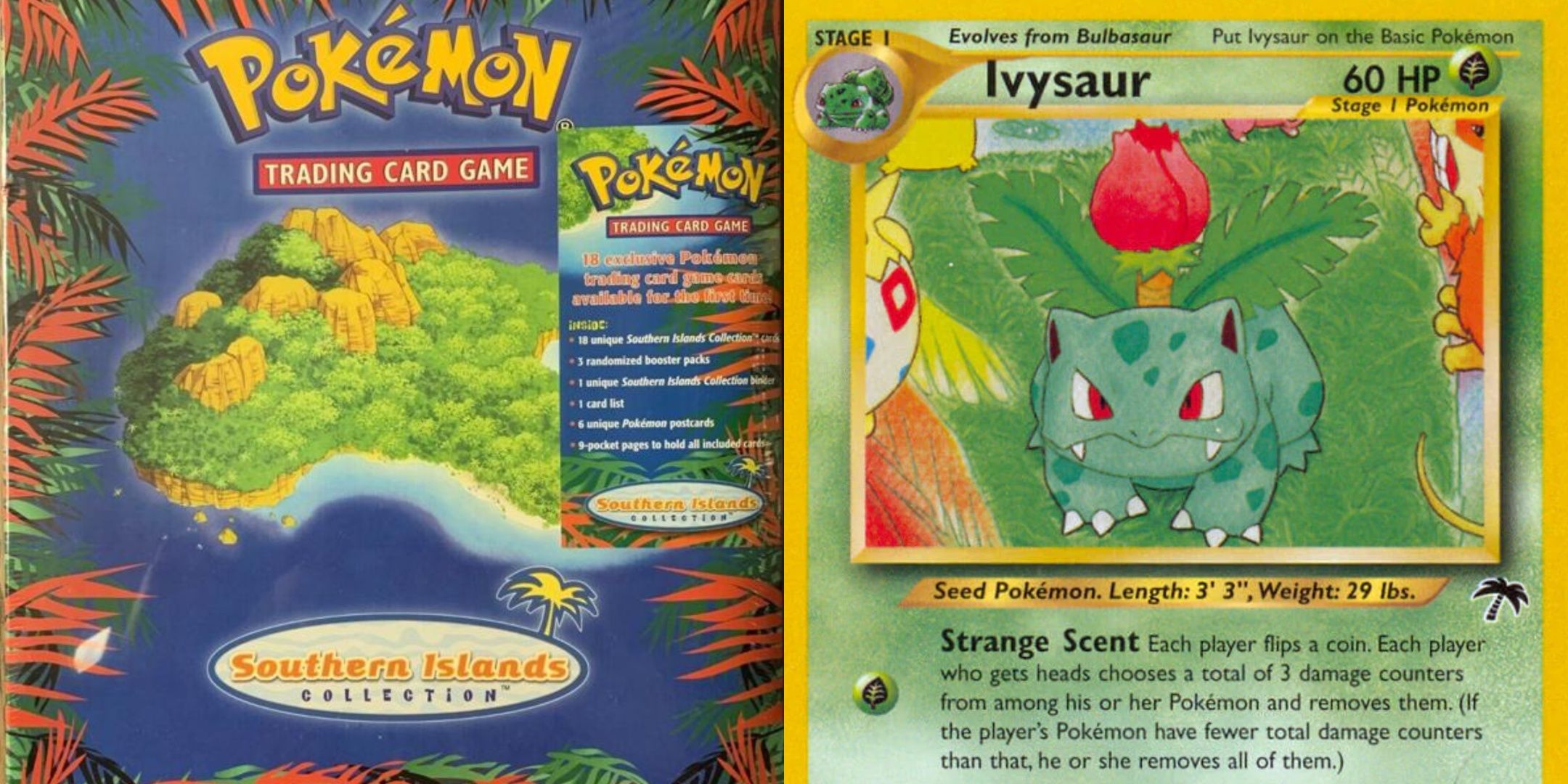 The Pokemon Southern Islands binder next to a card from the set.