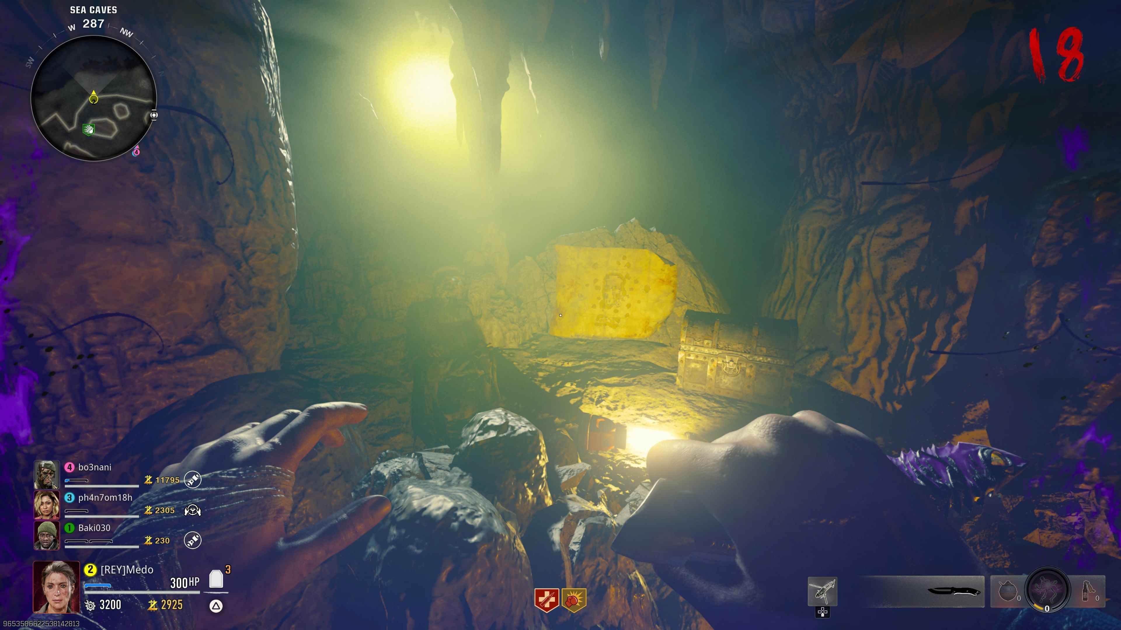 Player standing in front of undead pirate - bo6