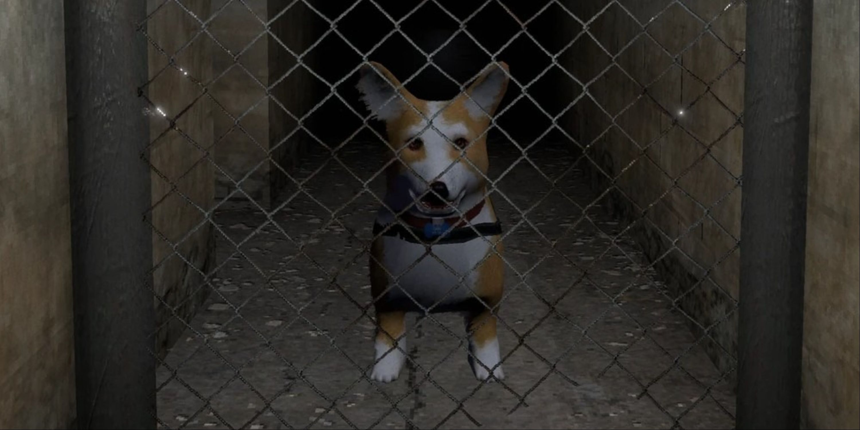 A close-up of Dani the Corgi behind a fence in Lost in Vivo.