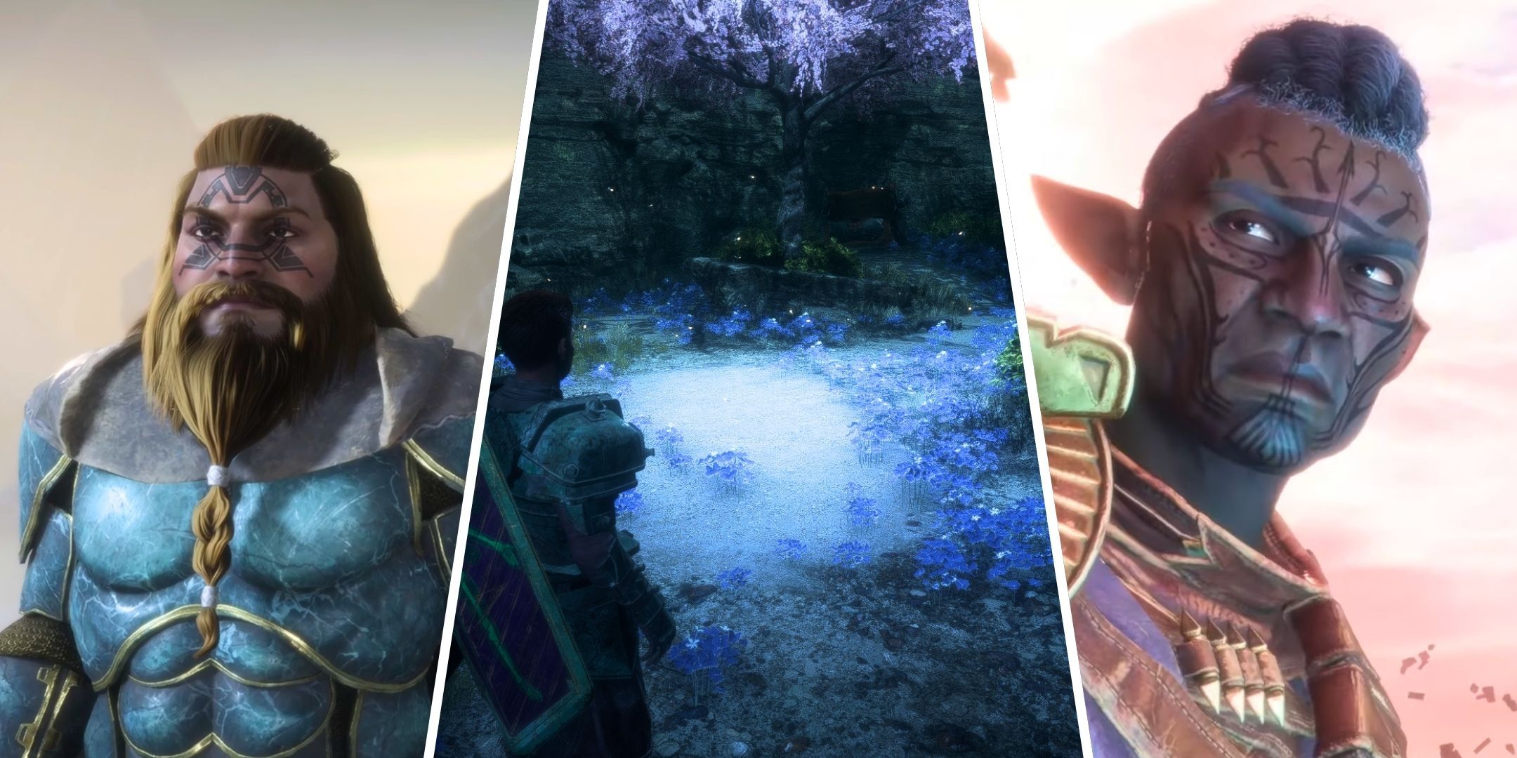 A split image of Stalgard, Rook looking at flowers, and Strife from Dragon Age: The Veilguard.