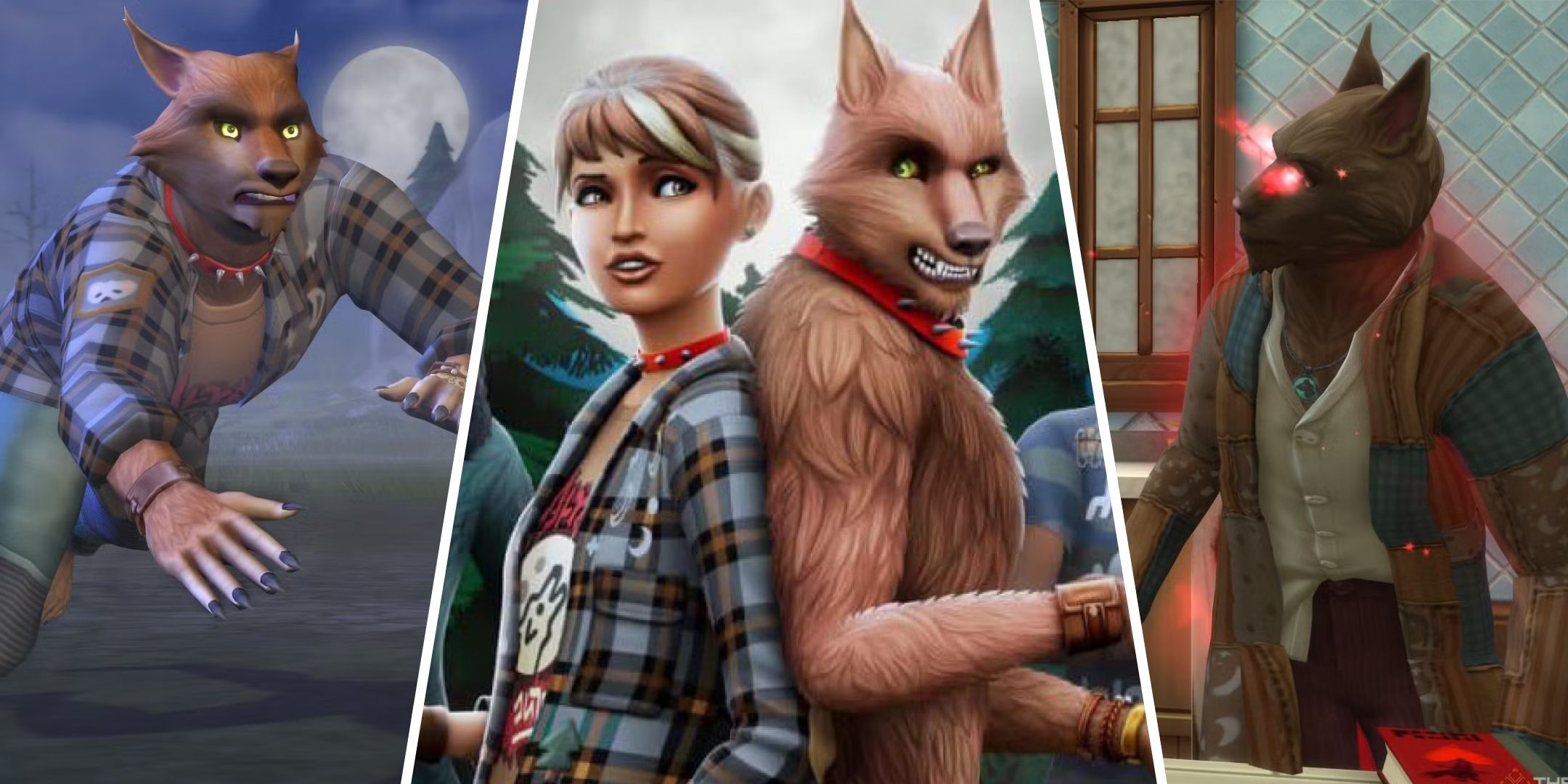 Split images of one werewolf running, one Sim with their back against a werewolf, and a werewolf standing with fury from The Sims 4.